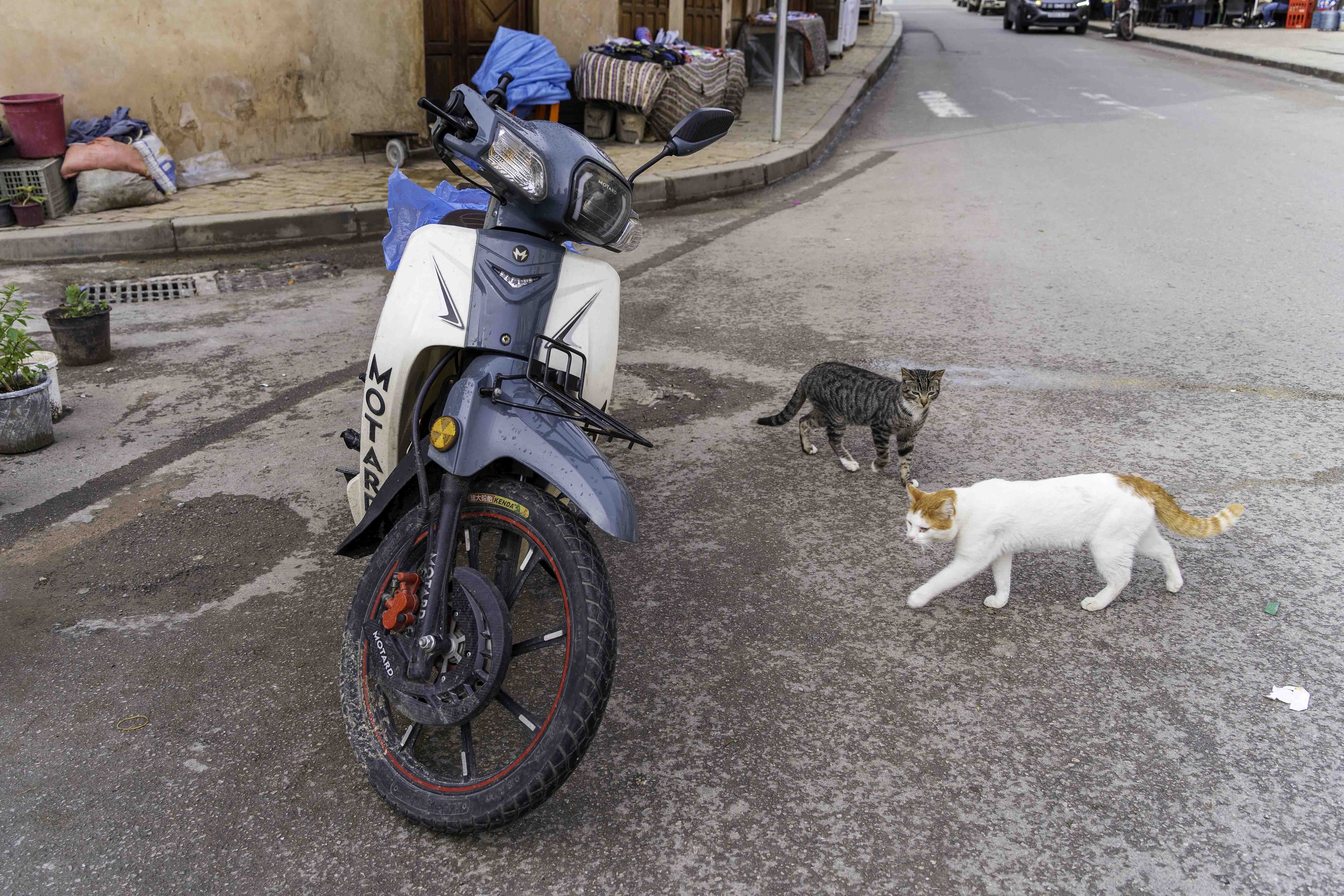Morocco-2-6.jpg