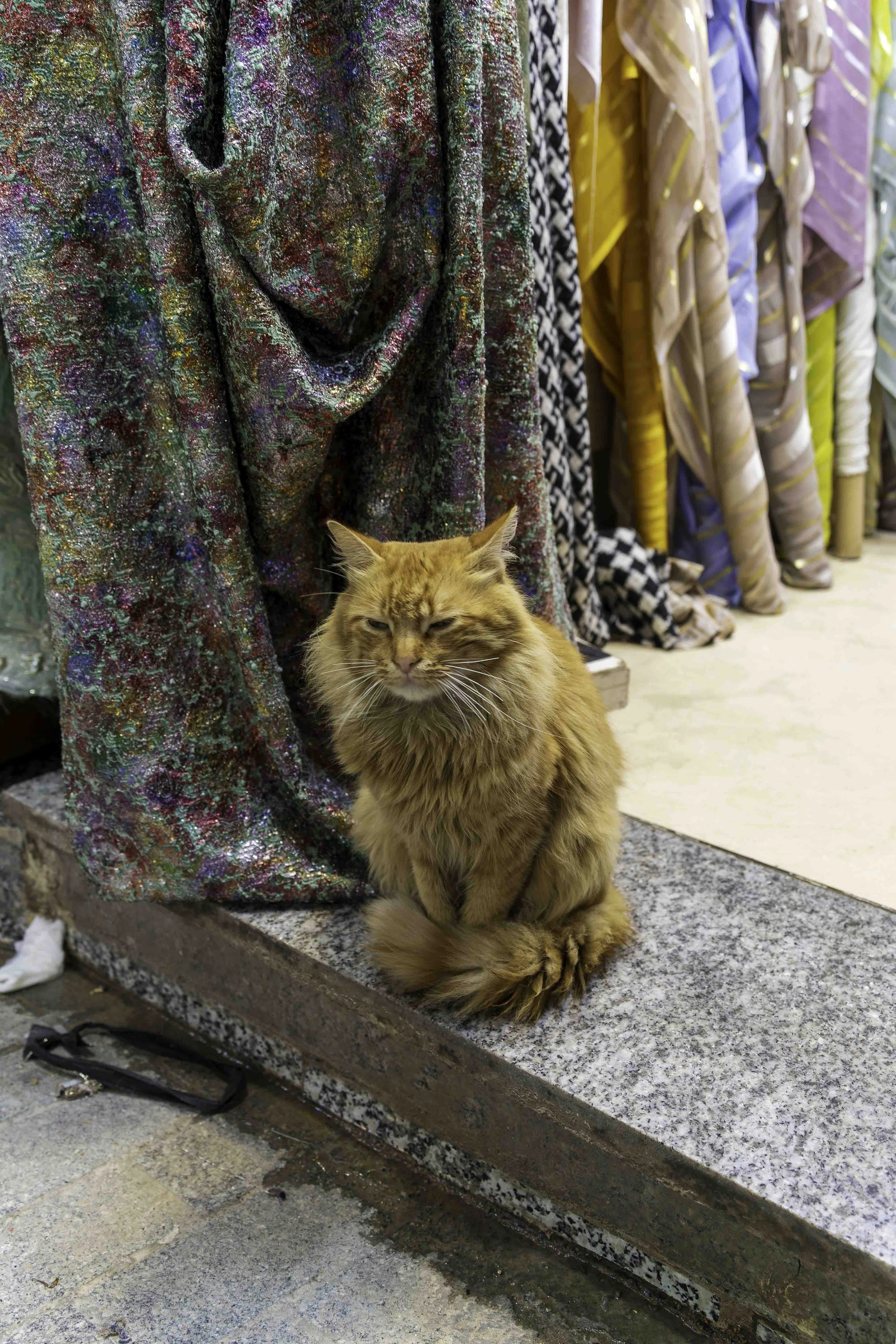 Morocco-3-7.jpg