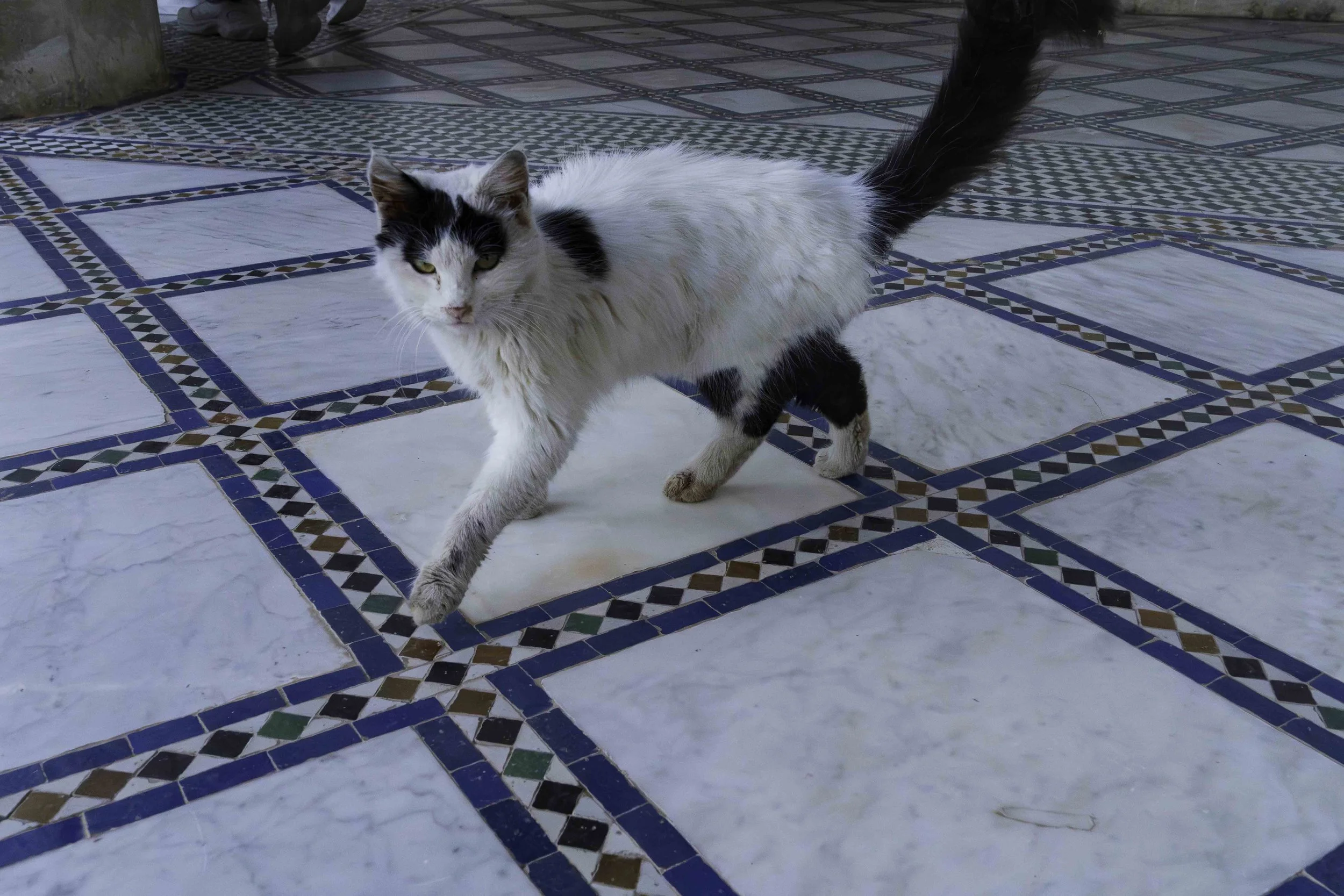 Morocco-3.jpg