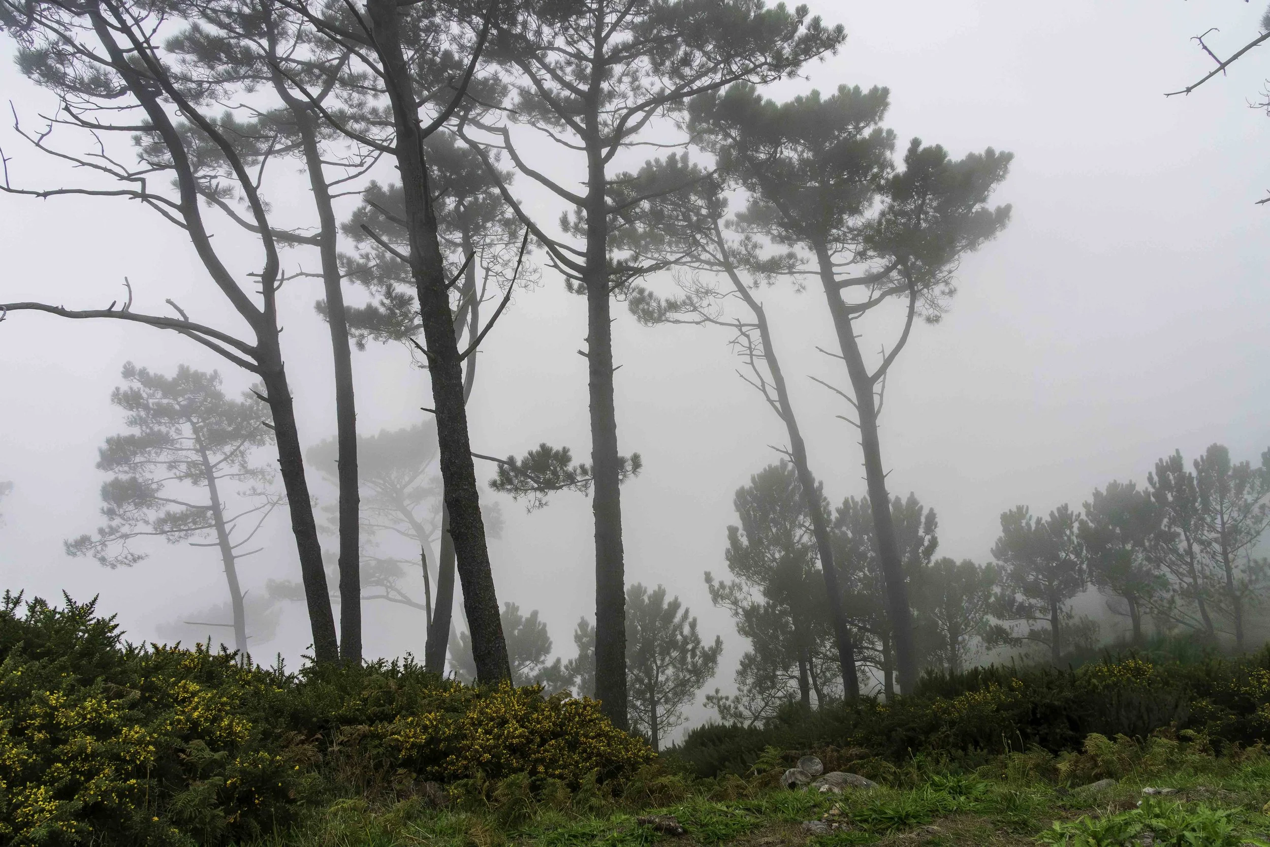 Portugal-1-6.jpg