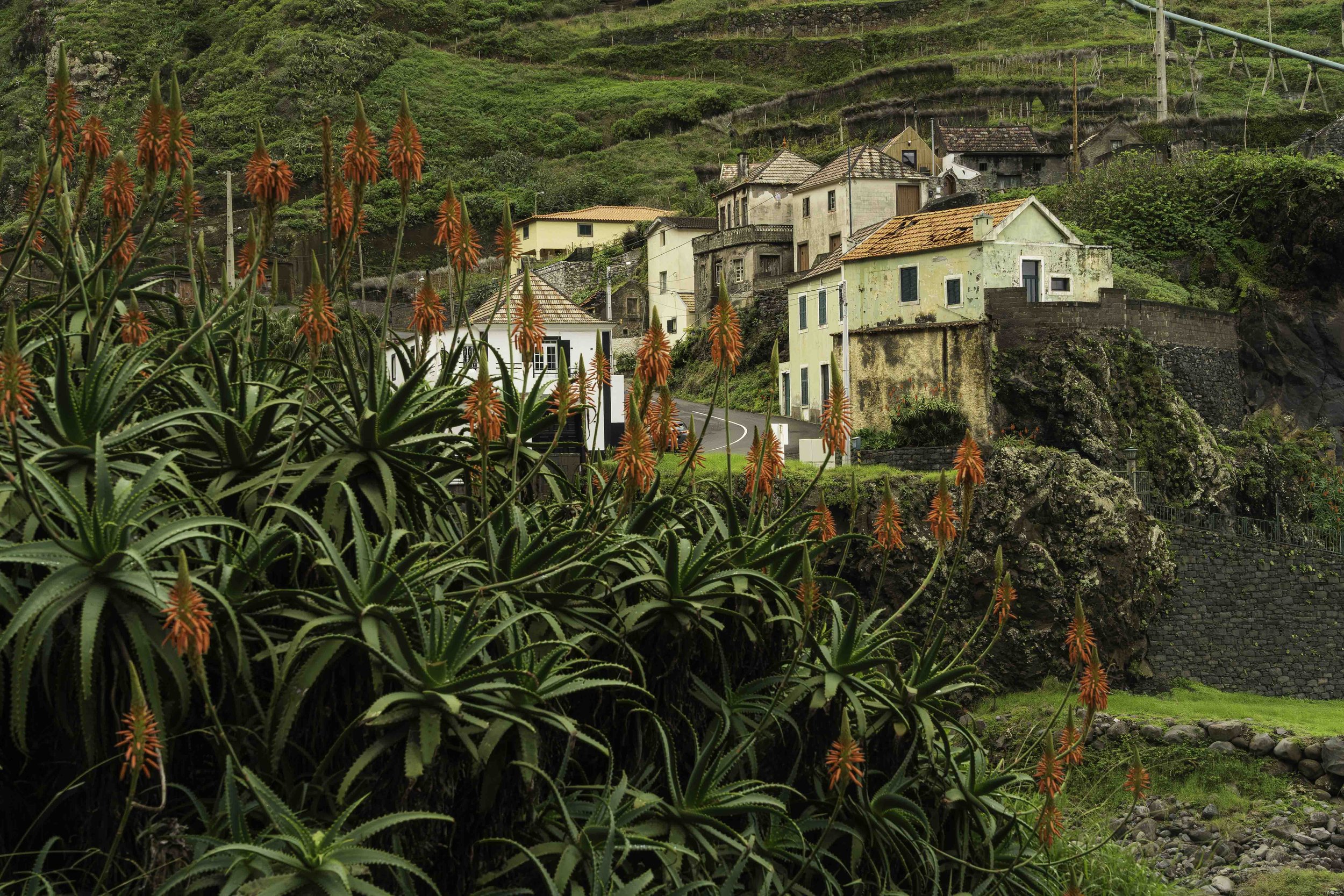 Portugal-1-20.jpg