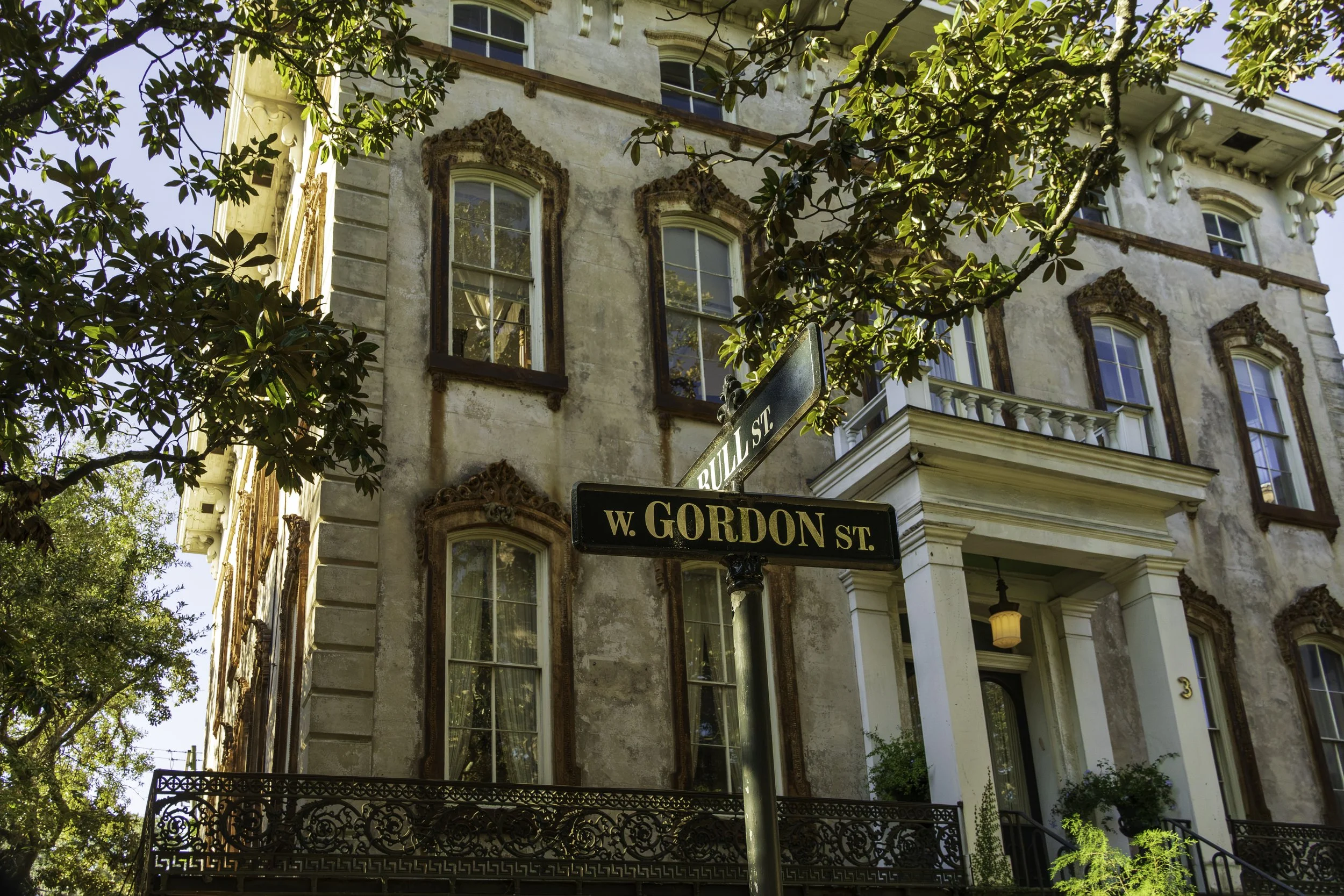 Savannah-2.jpg