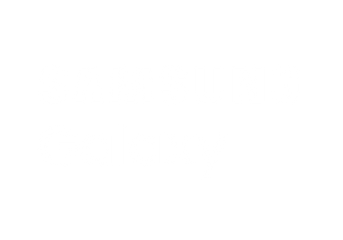 Samsung Galaxy.png