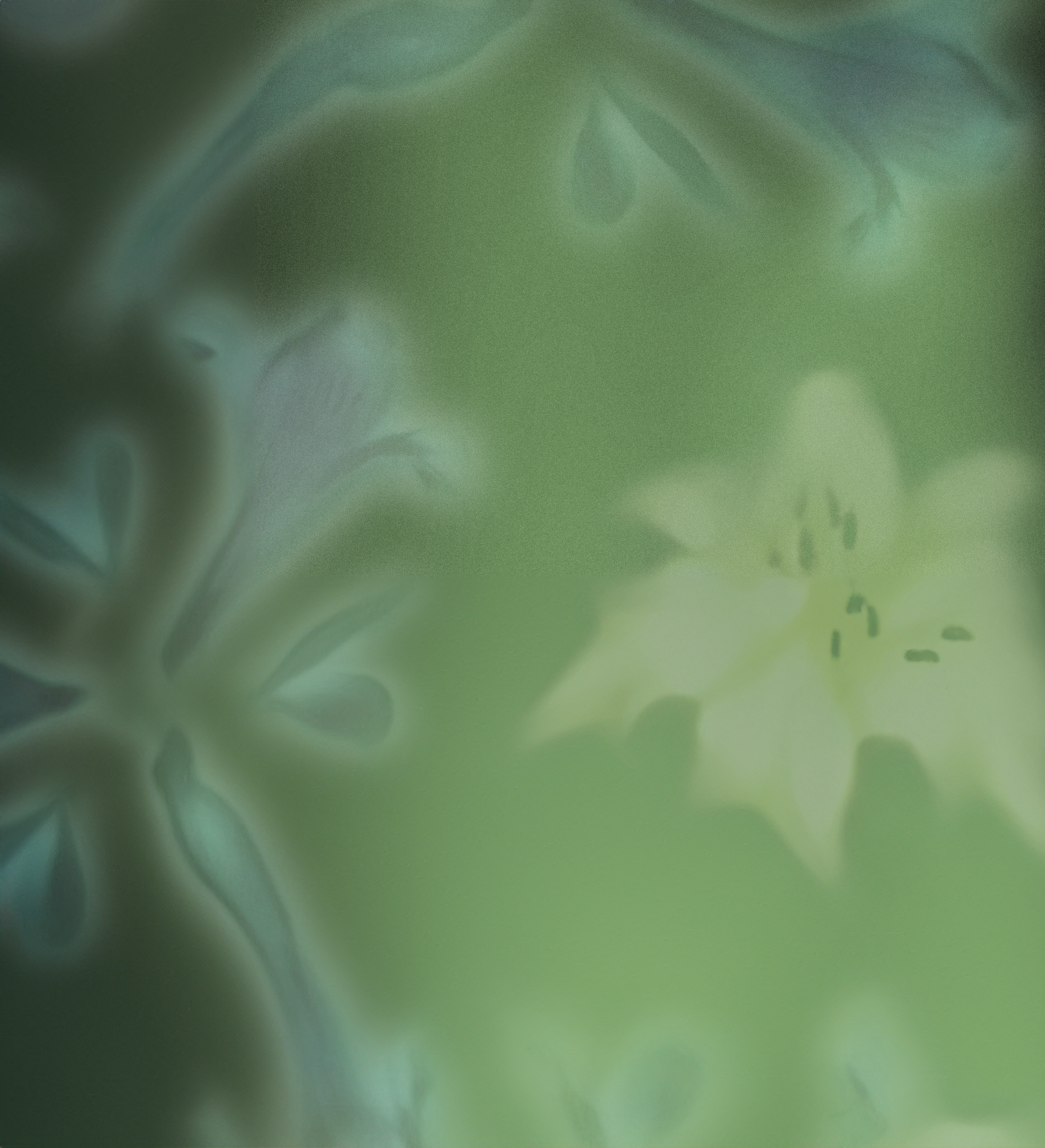 Apple Pay Platinum Background 1.png