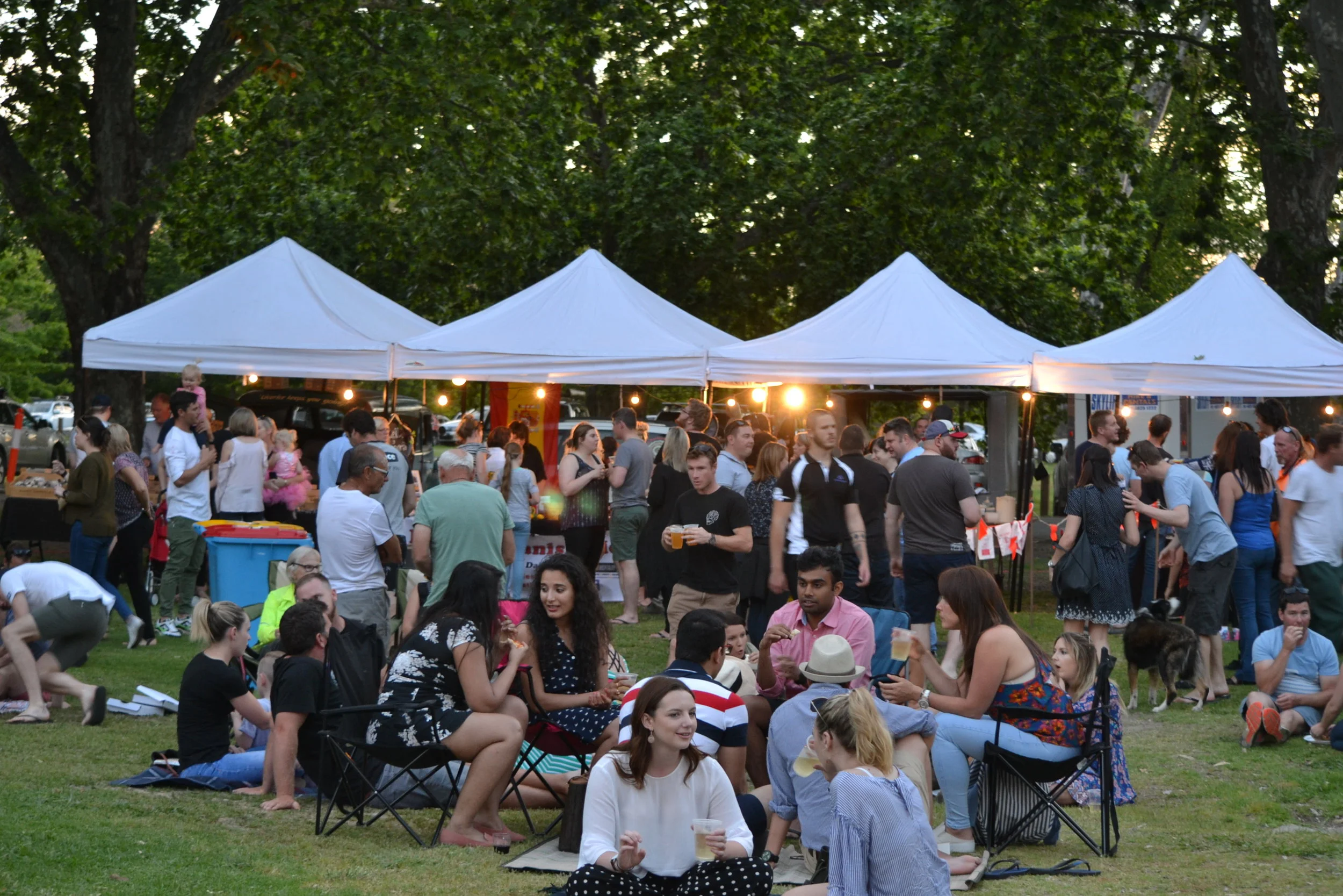 The Story Behind Cork & Fork Fest