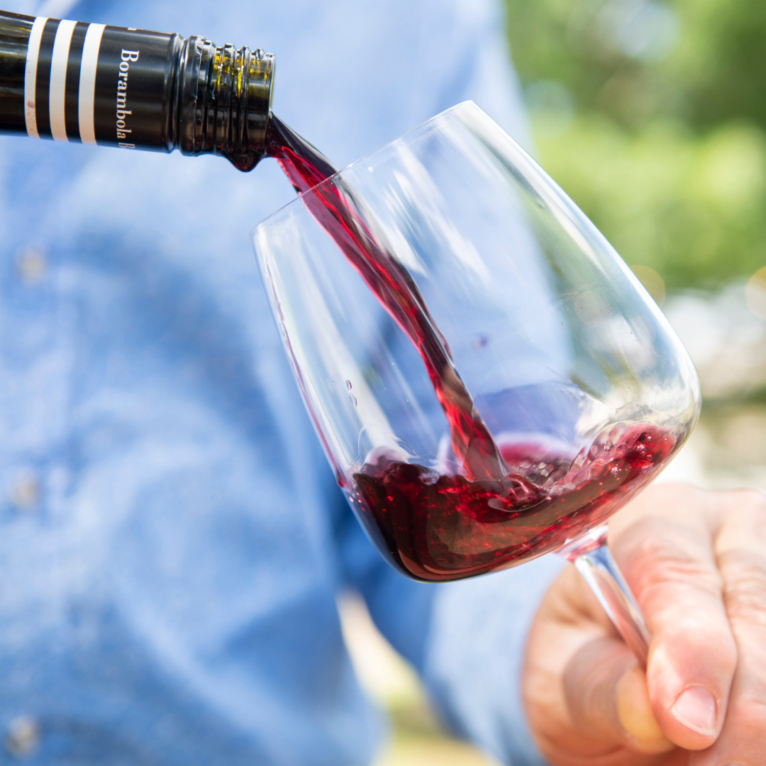 Wine Tasting Tour.png