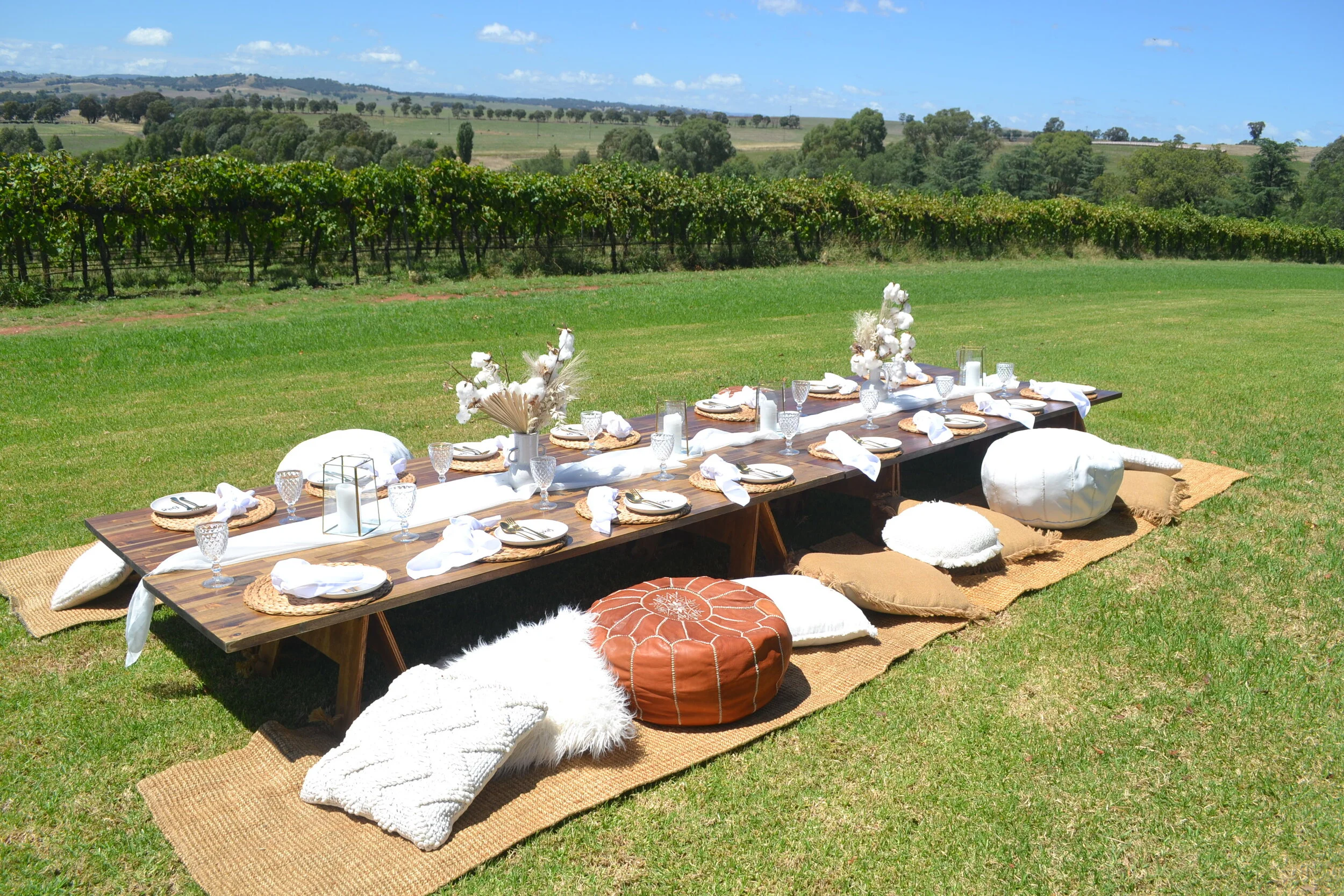 Picnics in the Vines