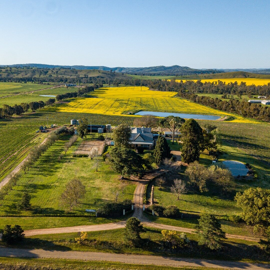 We are so grateful to have been featured in a recent article from Qantas Travel Insider, highlighting &lsquo;4 of the Best Wine Regions in NSW&rsquo;! 😄

Head over to our blog to read the article - link in bio.

#borambolawines #vineyard #winery #ce