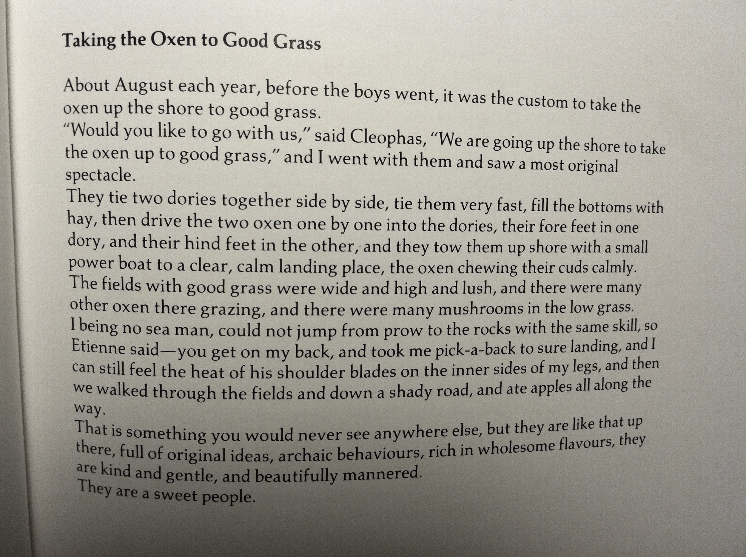 "Taking the Oxen to Good Grass," Marsden Hartley (Copy) (Copy)