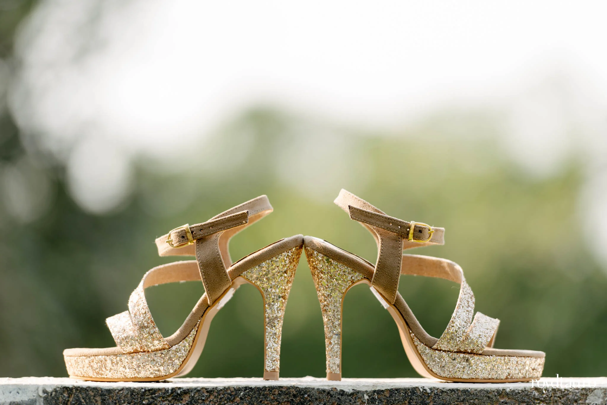 Setu-Andreas-Wedding-24.jpg