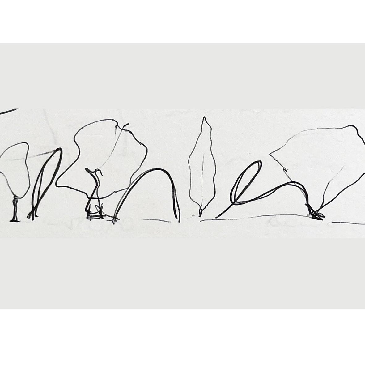 A public art project I&rsquo;ve been working on for a while has just been given planning permission, thrilled it&rsquo;s about to take off! 

This wriggly little thought sketch is going to become a composition of cherry trees and sculptural drawings 