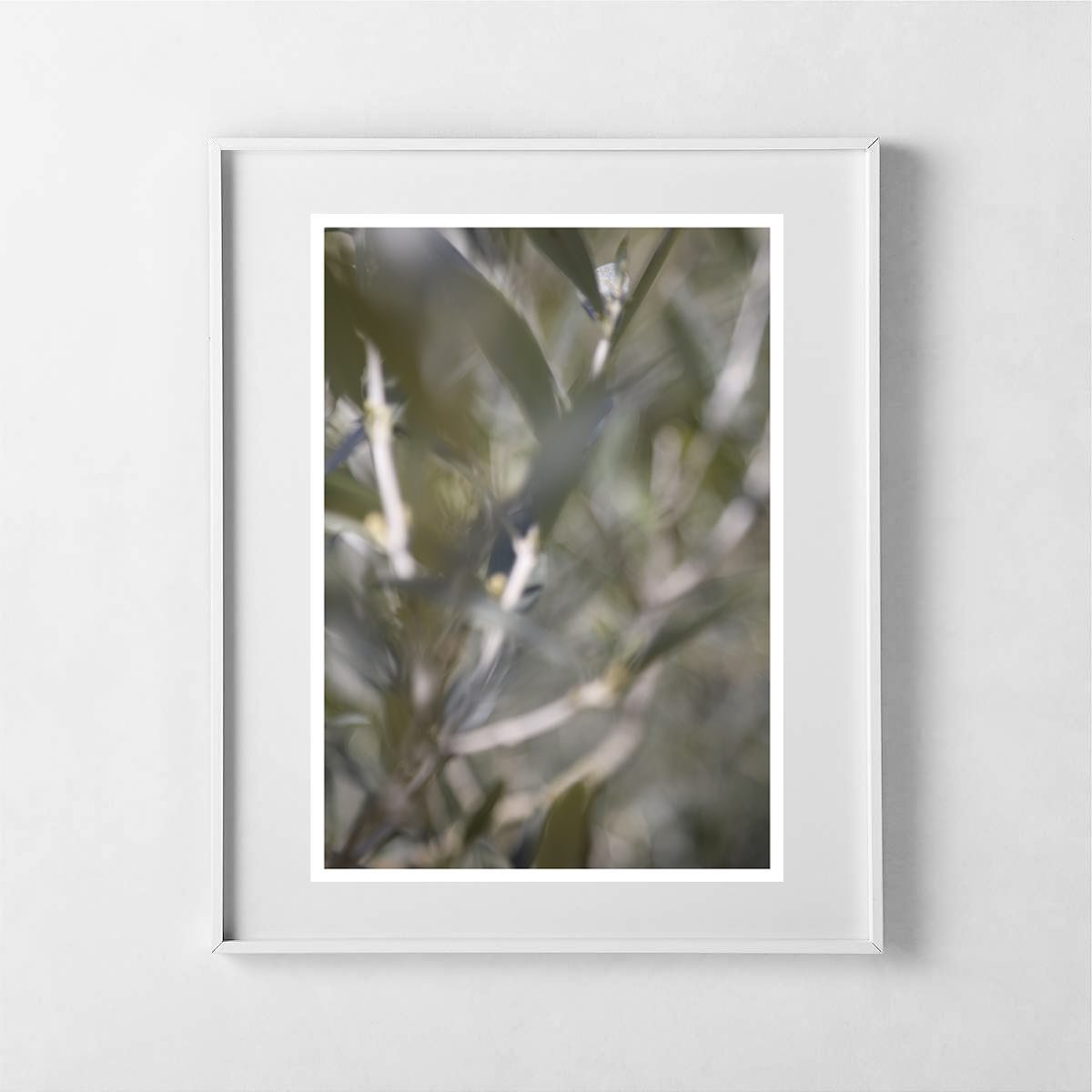 This is &ldquo;Moraiolo&rdquo;. It is an A4 gicl&eacute;e photographic print of an olive tree on 310gsm matt paper. 

It&rsquo;s &pound;35 unframed + &pound;5 PP within the UK. (&pound;30 each + &pound;5 PP for two or more).

100% profit (approx. &po