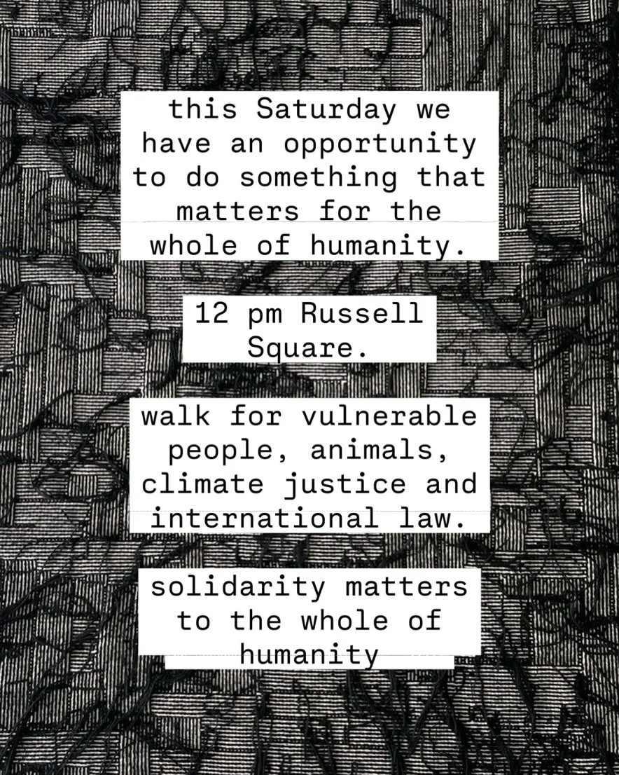 12 pm Russell Square this Saturday. Please walk in peace, for peace, for justice, people, animals, climate, respect, human rights, law, international accountability and to urgently to stop the genocide and arms to Israel. @palestinesolidarityuk for m