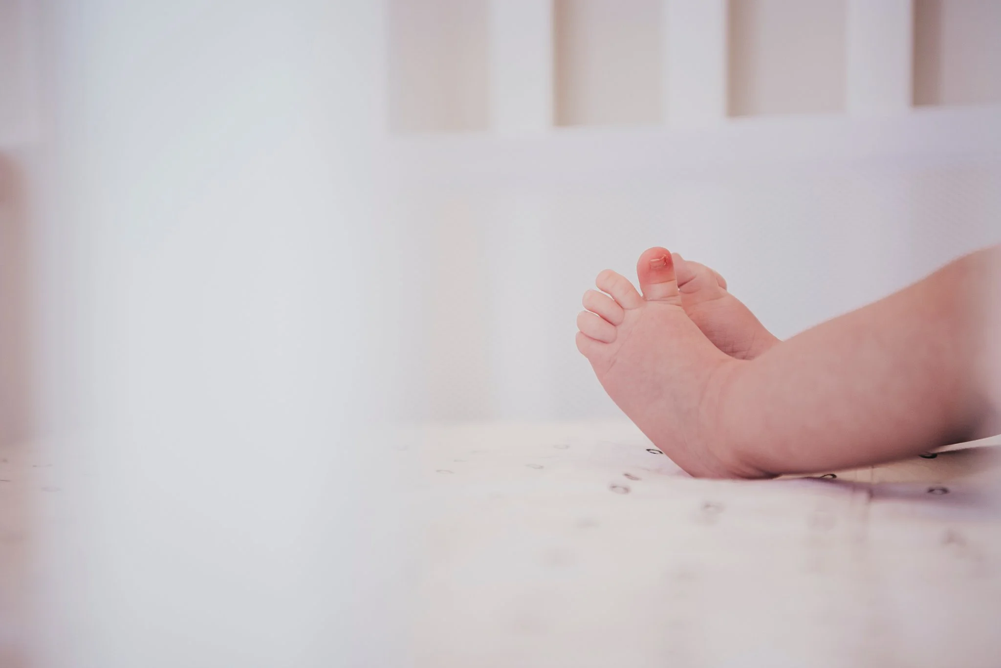 20171119_Baby Leo-35_WEB.jpg