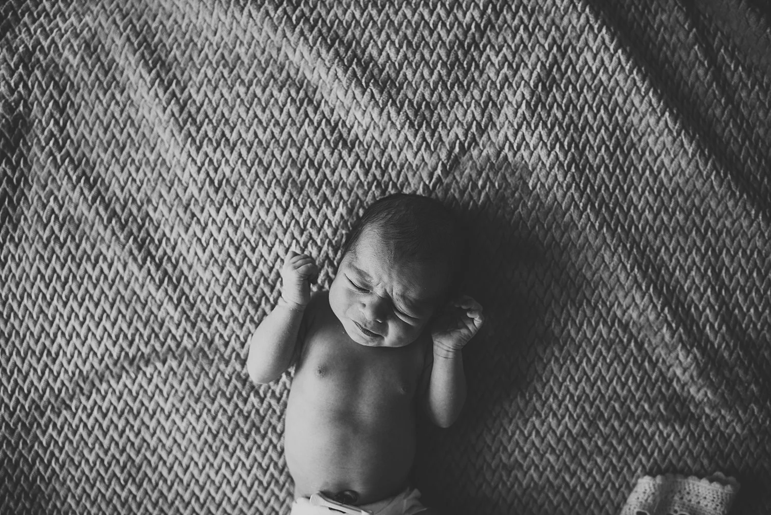 newborn smooshie baby