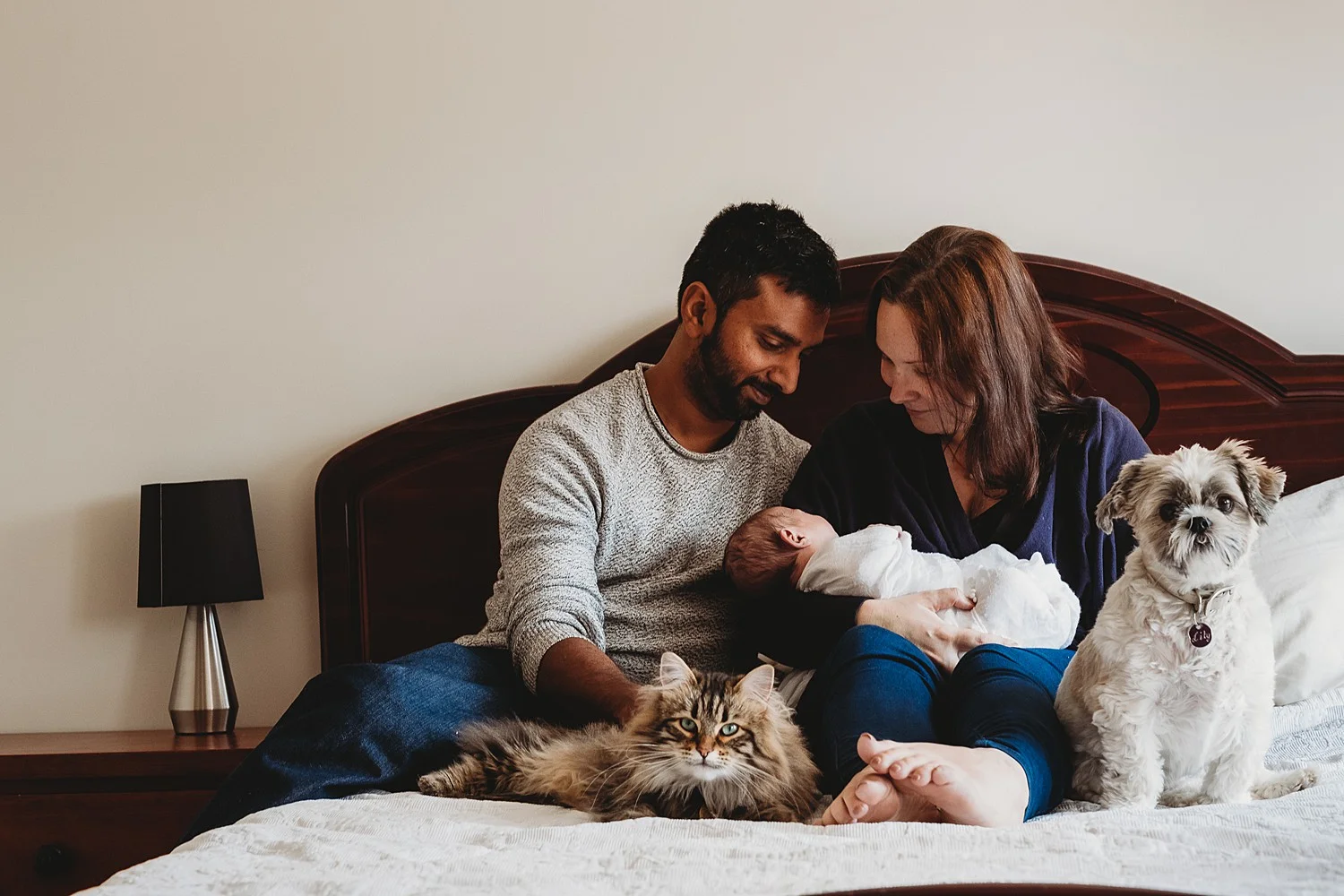 cat dog newborn and parents on bed