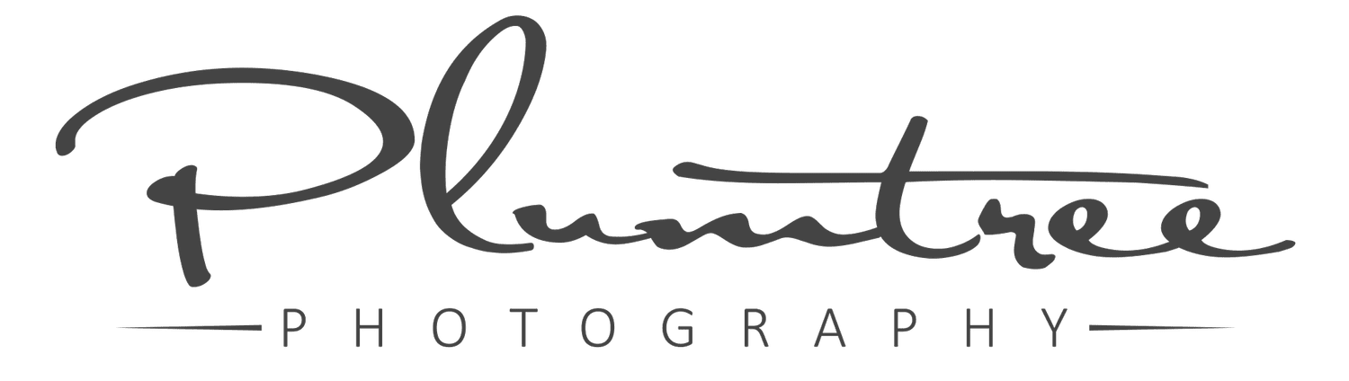 Plumtree Photography | Melbourne Lifestyle Photographer