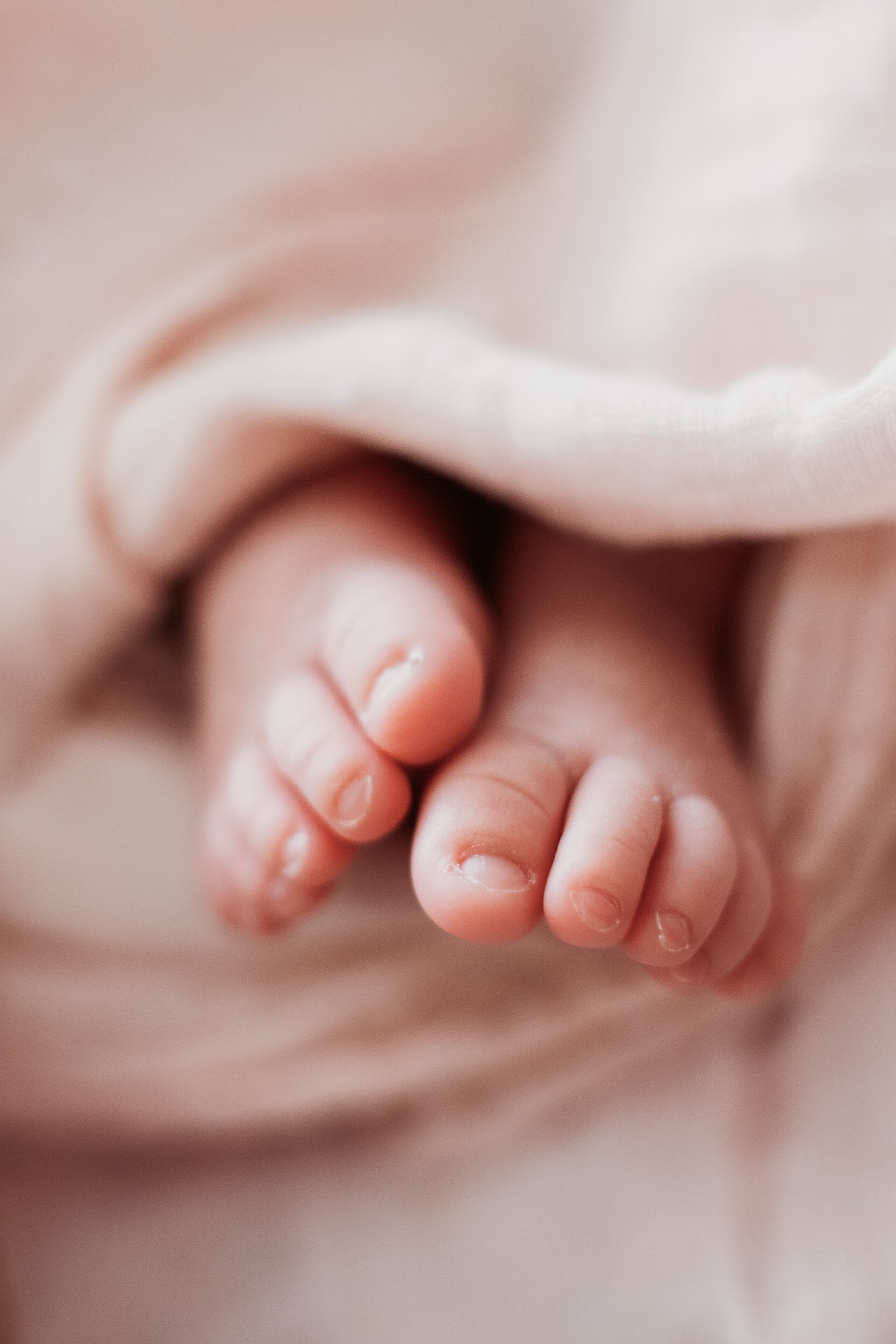 20190303_Baby Chloe - 21.jpg
