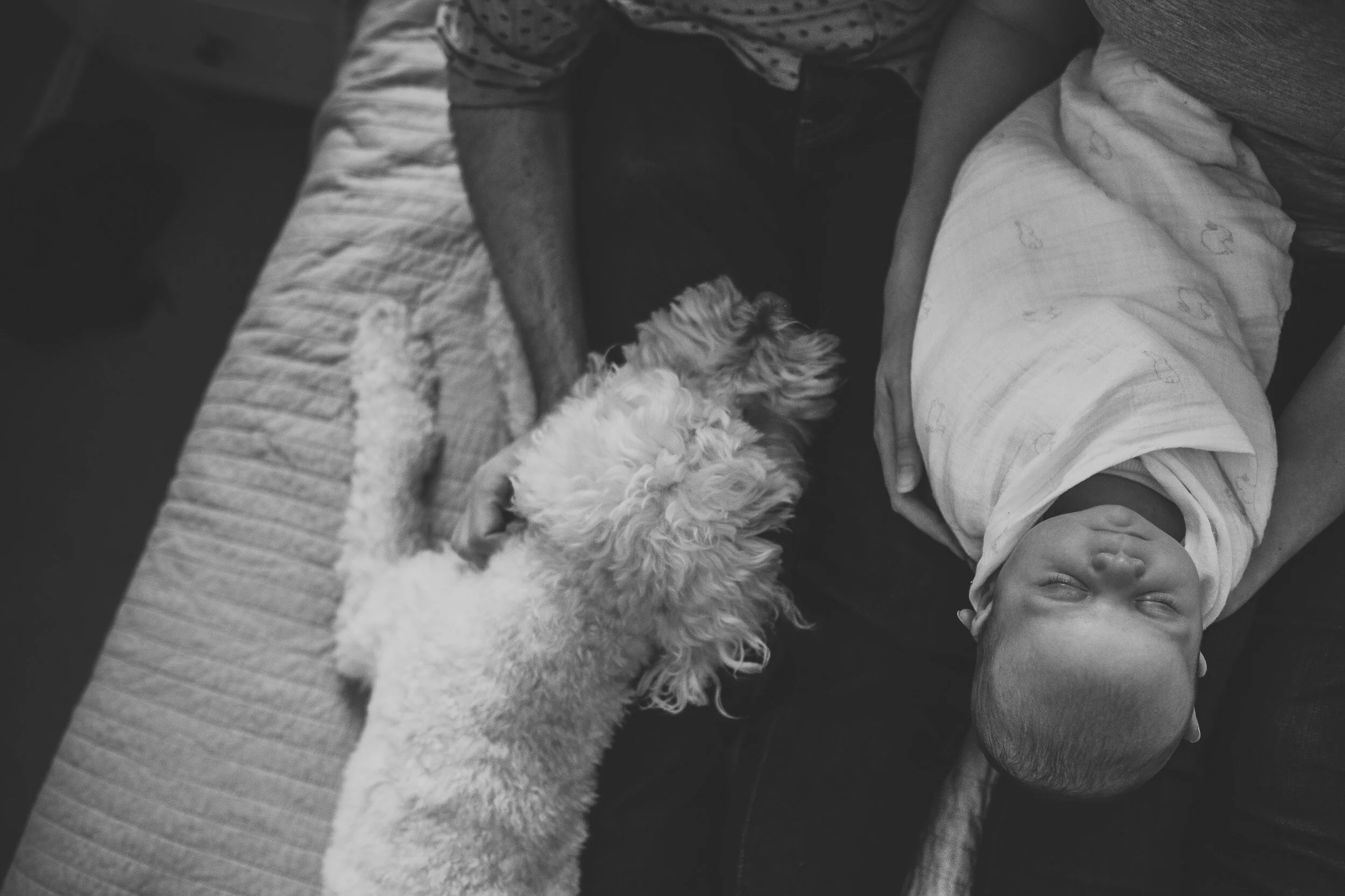 20181117_Baby Zara - 9.jpg