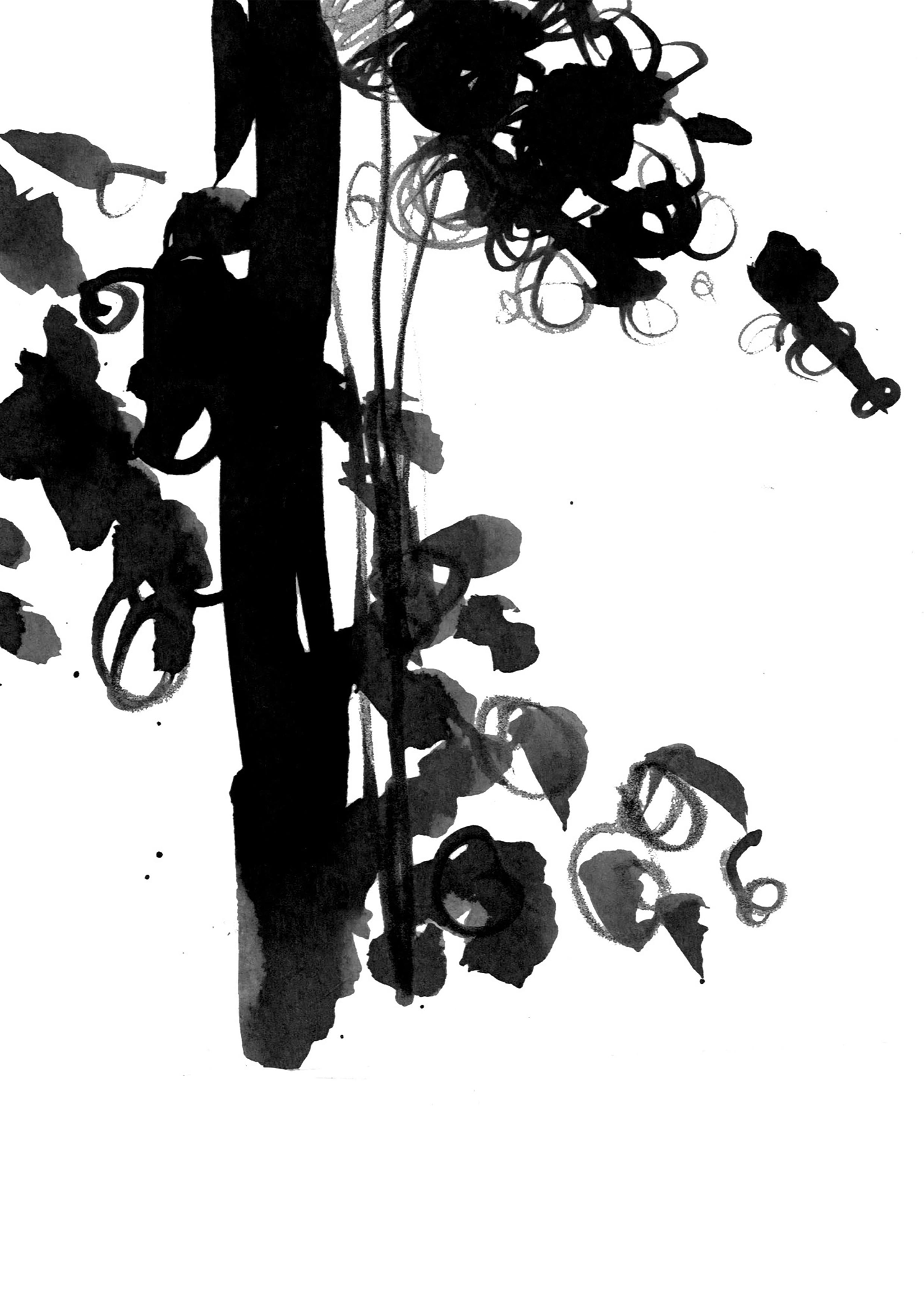 Wind play