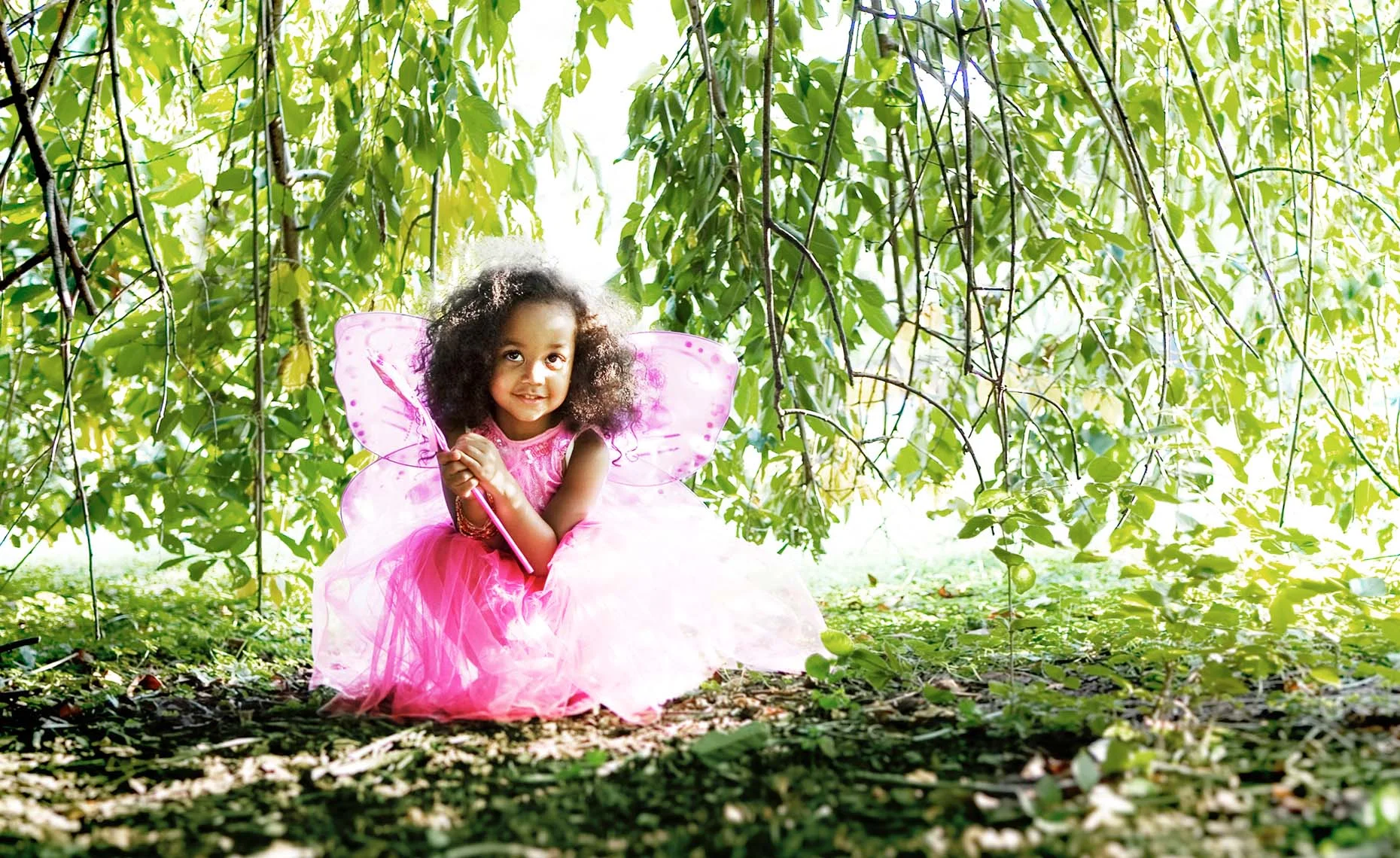 fairy.jpg
