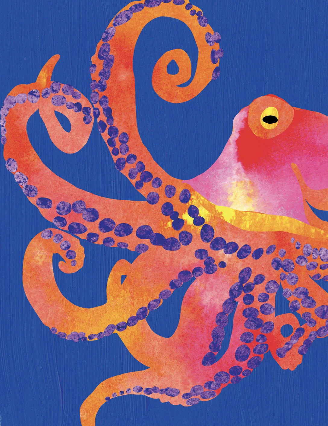 Octopus in the Hood Canal card — Test Patch Studio