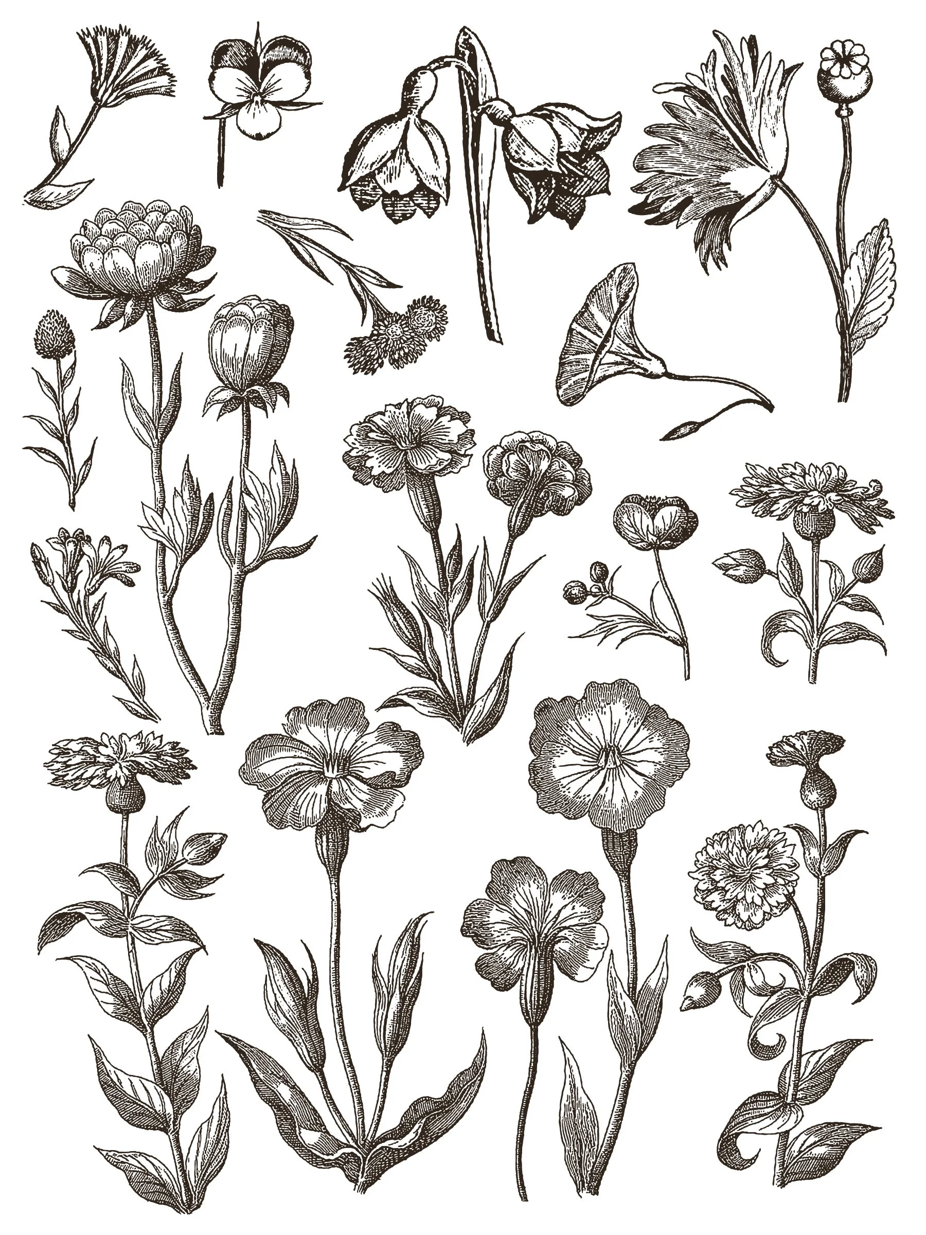 Copy of IOD-INL-FLY Floriography paint inlay artwork-04.jpg