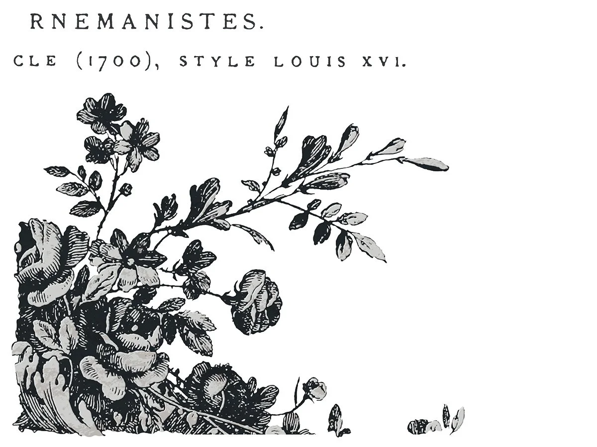 Copy of IOD-TRA-COS_page_2_sml.jpg