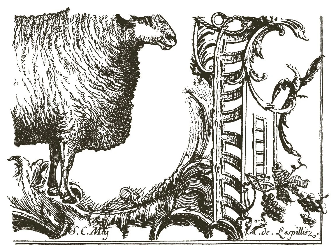 Copy of IOD-TRA-COT_8_page_8_sml.jpg