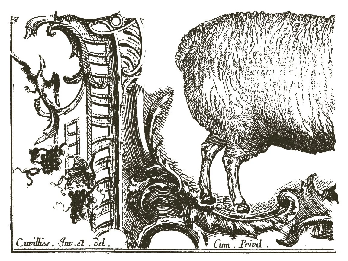 Copy of IOD-TRA-COT_8_page_7_sml.jpg