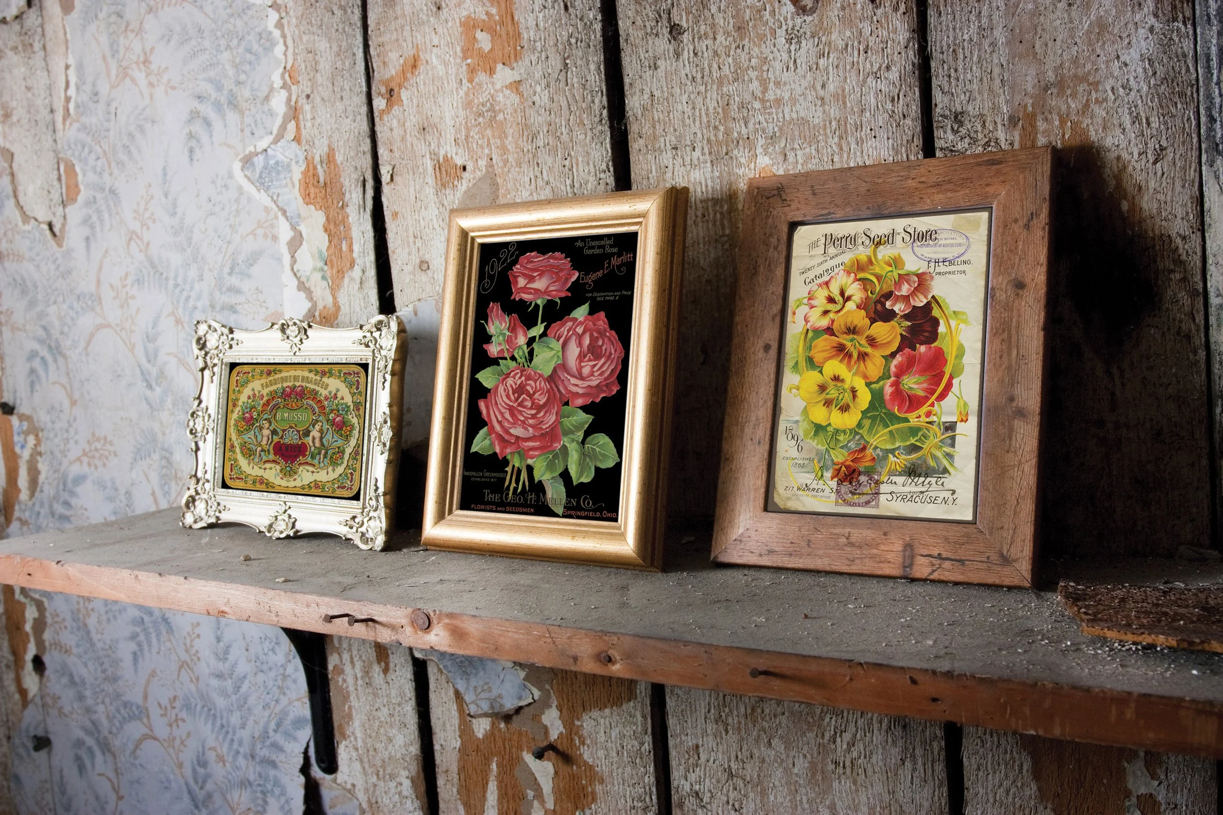 Copy of Ephemeral_mockup_1.jpg