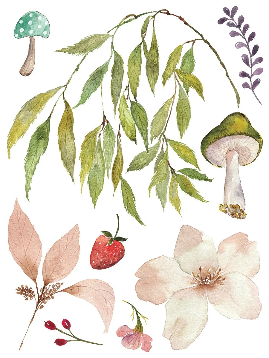 Copy of IOD-TRA-WHI_page_1_sml.jpg