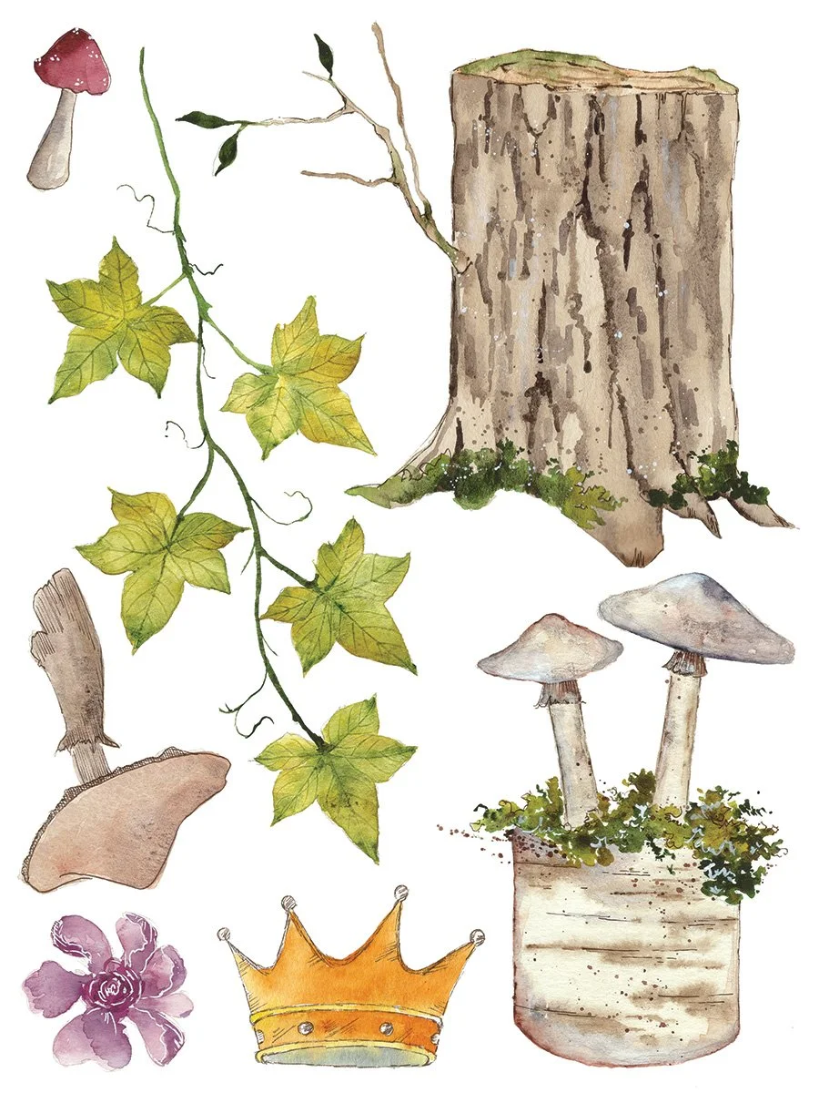 Copy of IOD-TRA-WHI_page_7_sml.jpg
