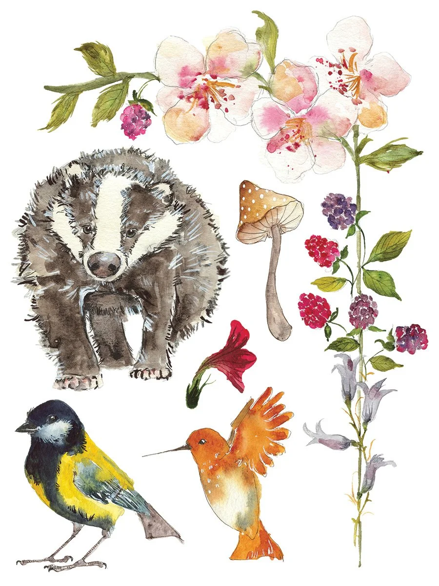 Copy of IOD-TRA-WHI_page_4_sml.jpg