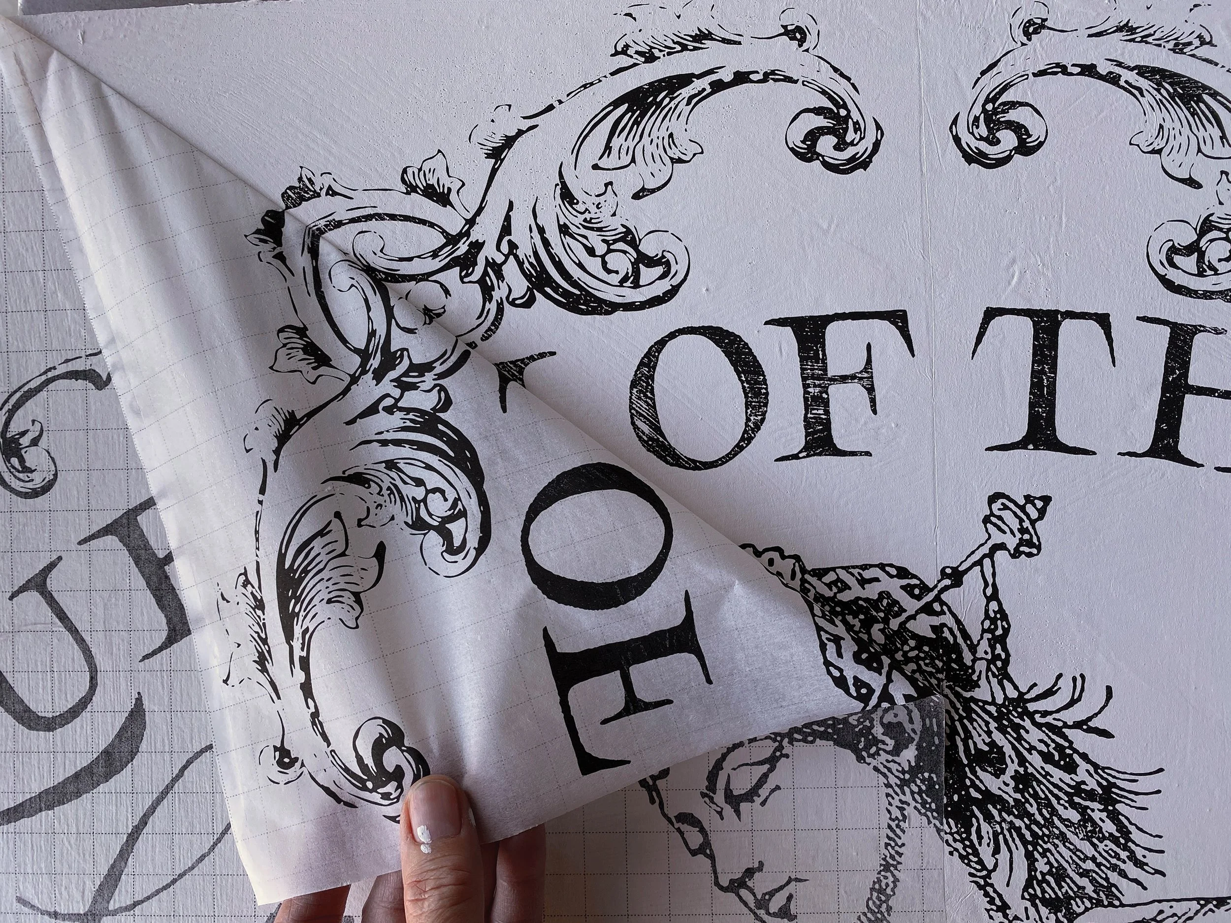 Copy of Queen_application.jpg