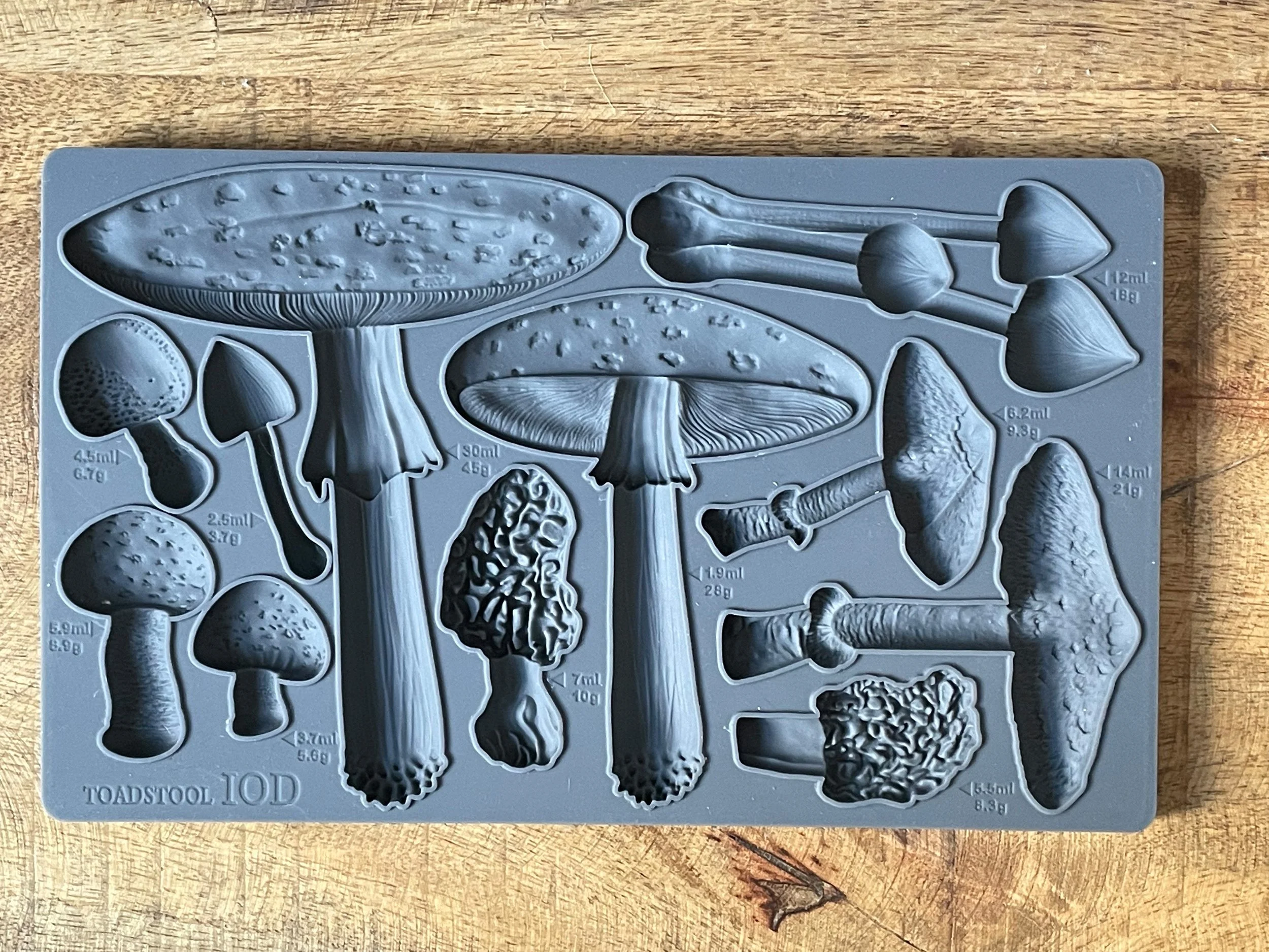 Toadstool mould.jpg