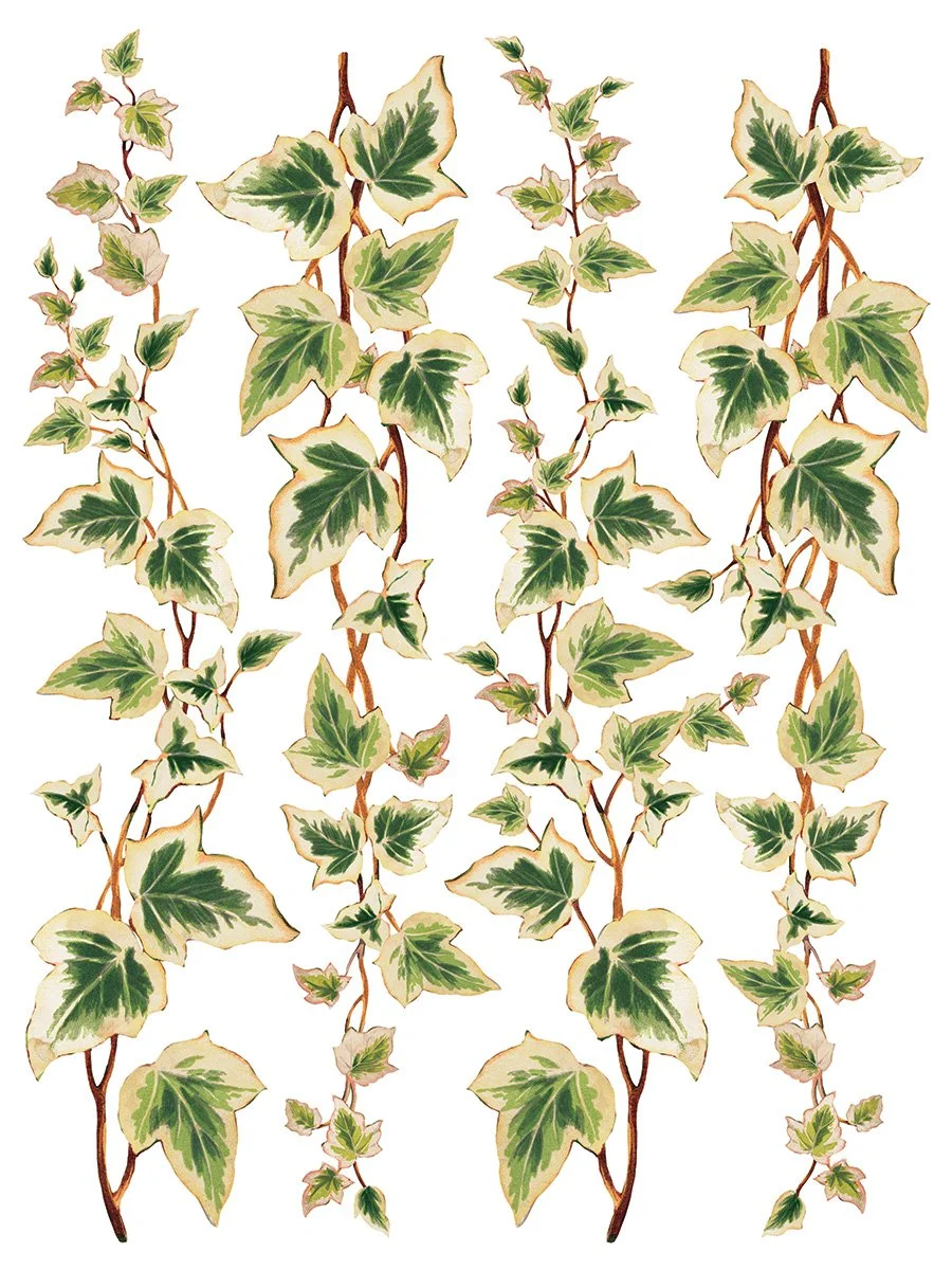 Copy of IOD-TRA-COL Collage de Fleurs page 1 small.jpg