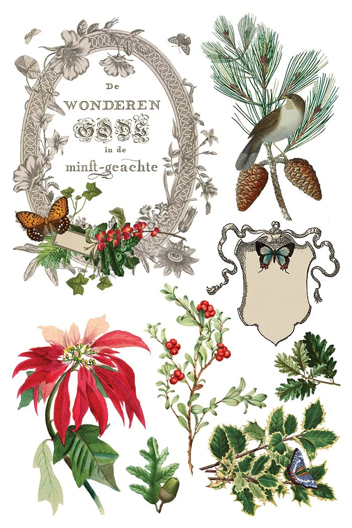 Copy of IOD-TRA-WBT Winter Botanist transfer artwork page 2 small.jpg