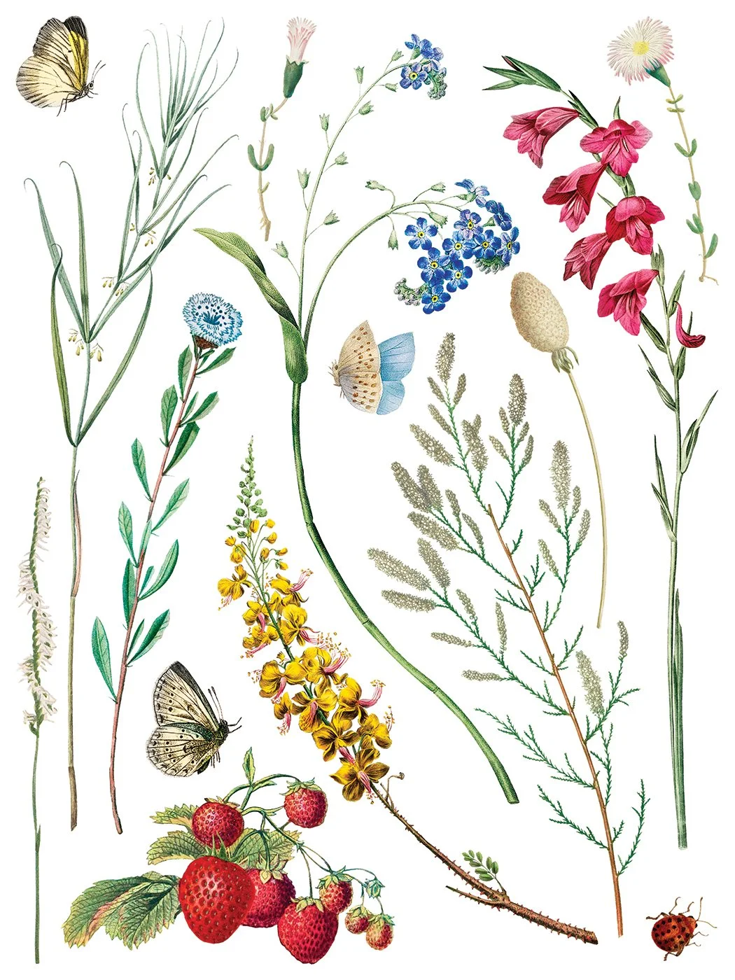 IOD-TRA-MDF Marché des Fleurs artwork page 1 small.jpg
