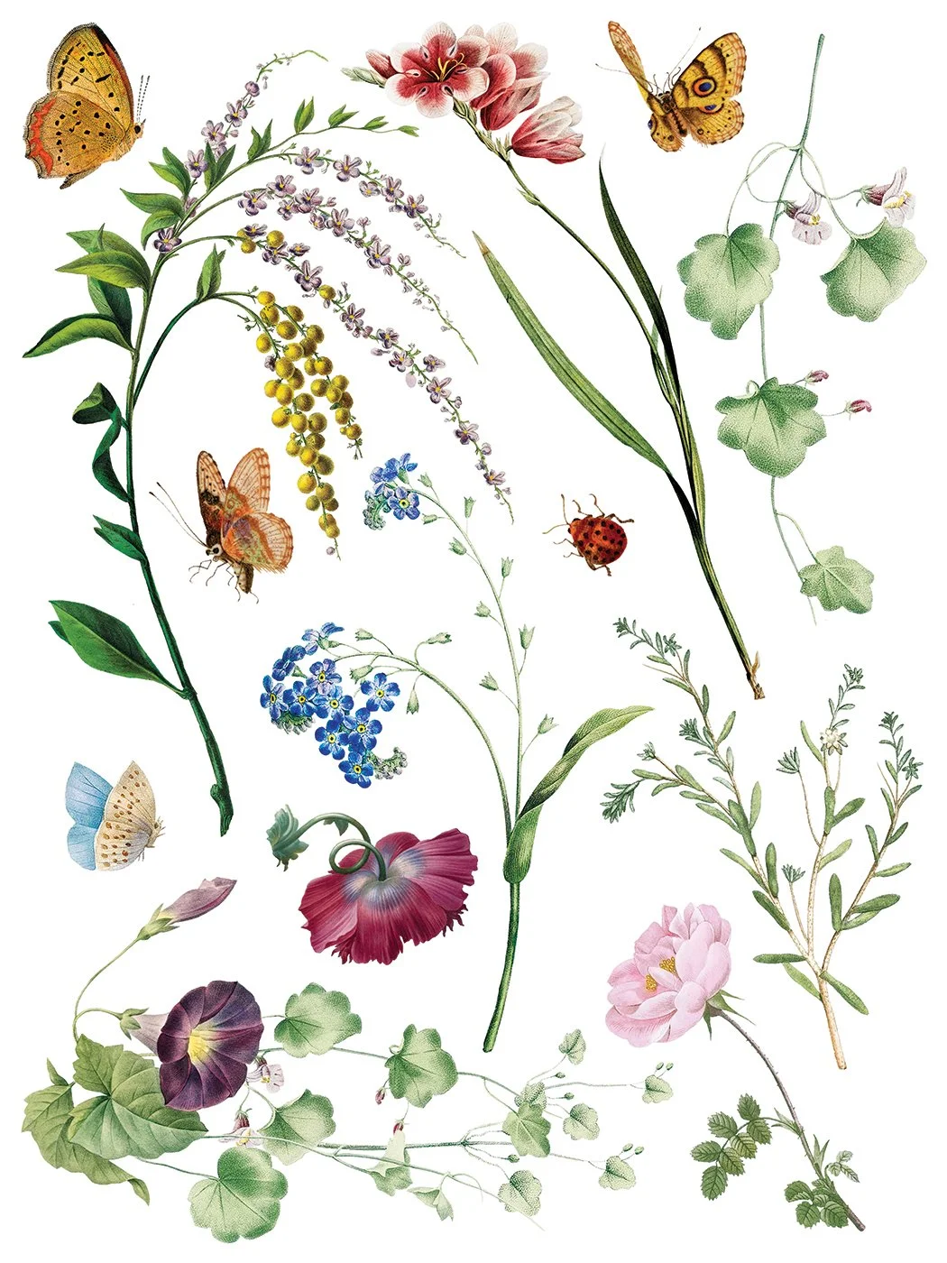 IOD-TRA-MDF Marché des Fleurs artwork page 3 small.jpg