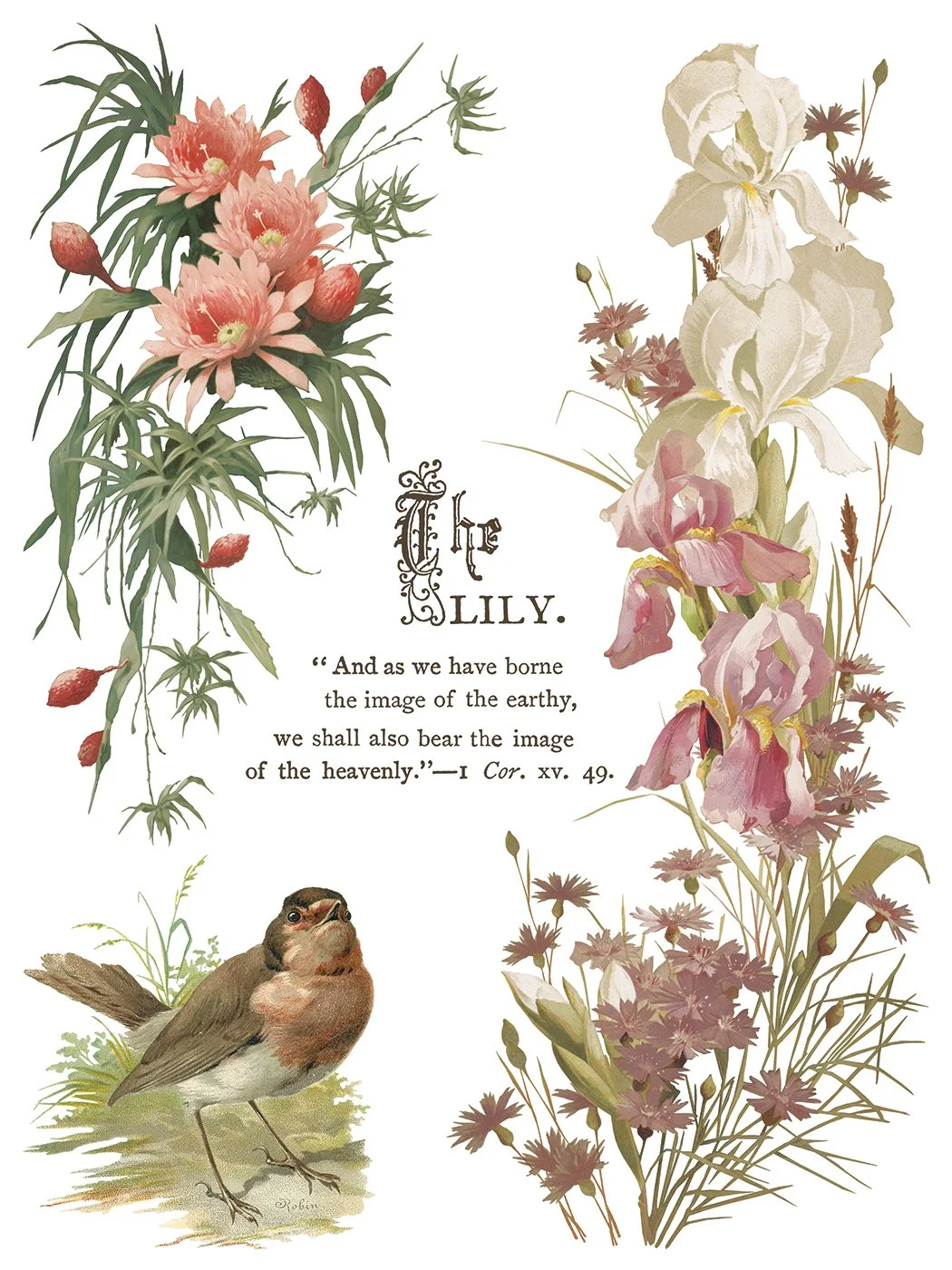 IOD-TRA-FBP Flowers by the Poets artwork page 3 small.jpg