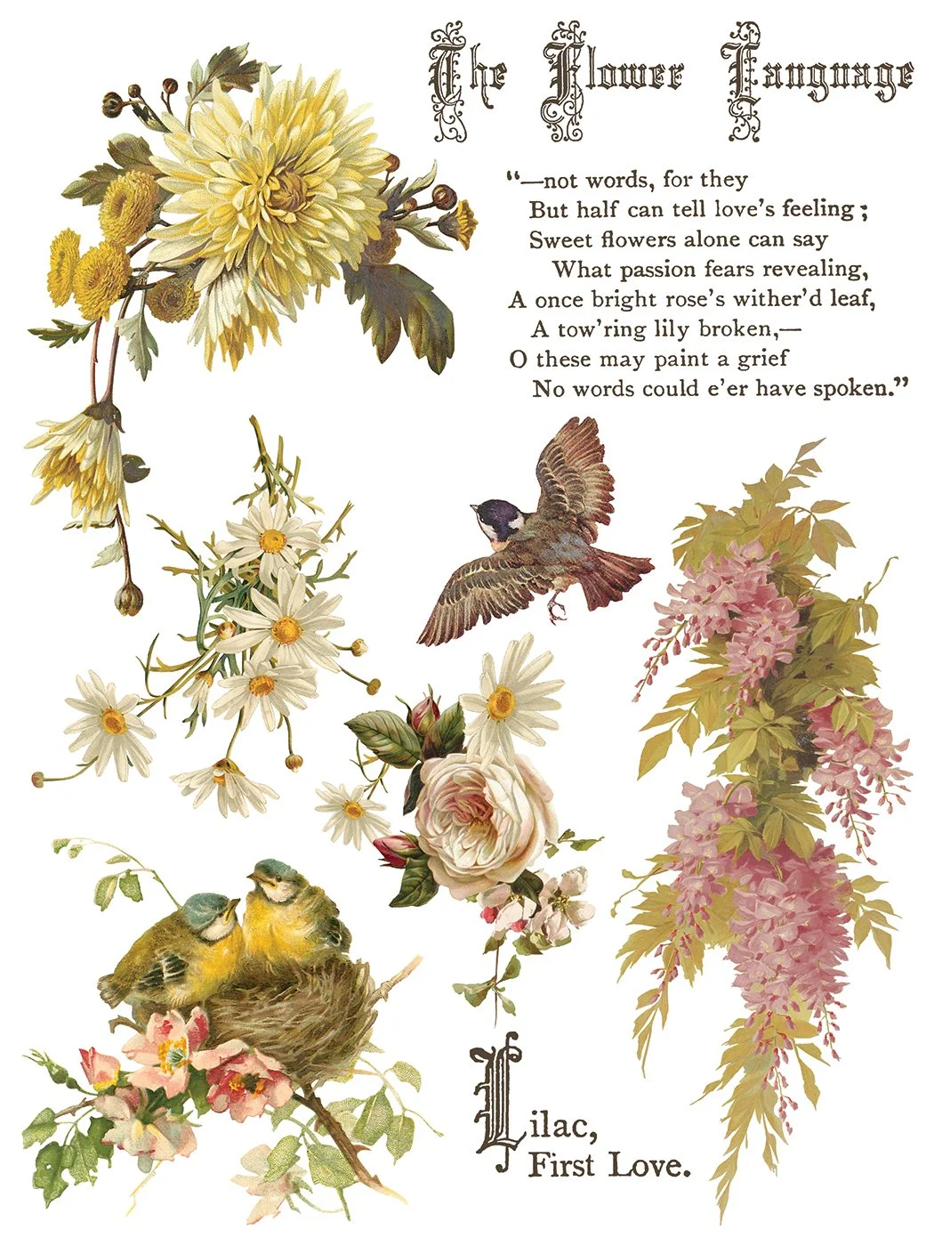 IOD-TRA-FBP Flowers by the Poets artwork page 8 small.jpg