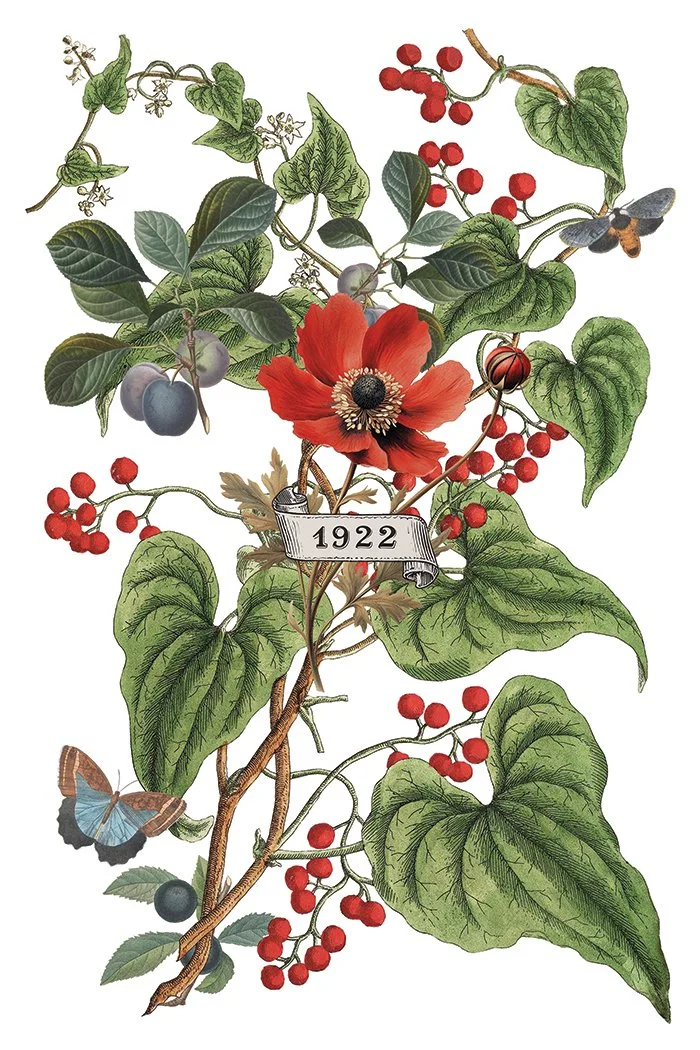 Copy of IOD-TRA-CLE Clementine transfer artwork page 6 small.jpg