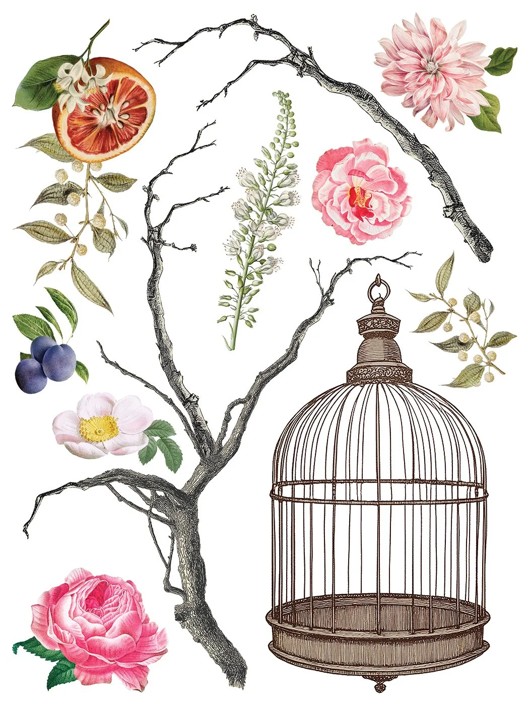 Copy of IOD-TRA-MEN Menagerie transfer artwork page 1 small.jpg