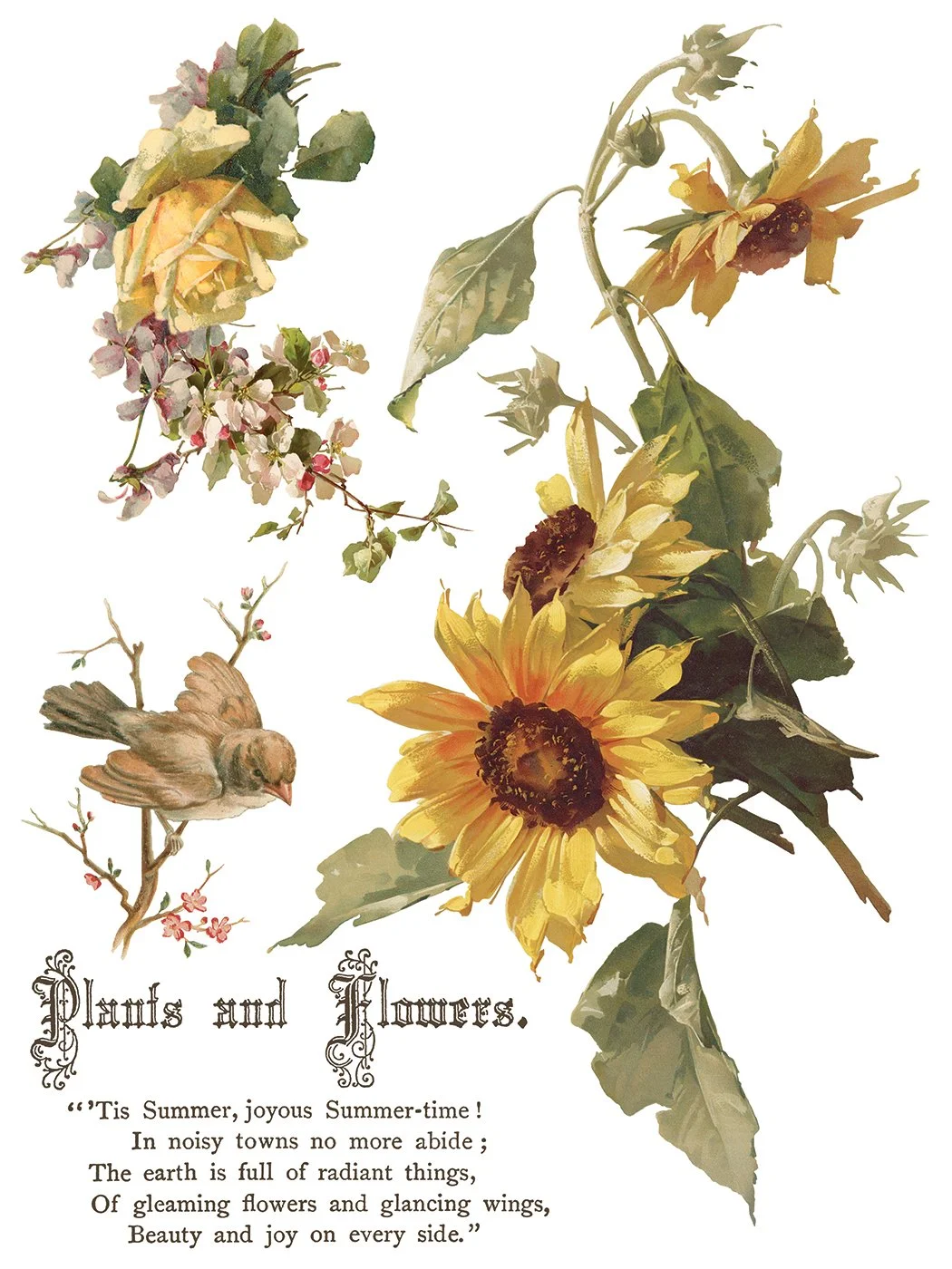 IOD-TRA-FBP Flowers by the Poets artwork page 1 small.jpg