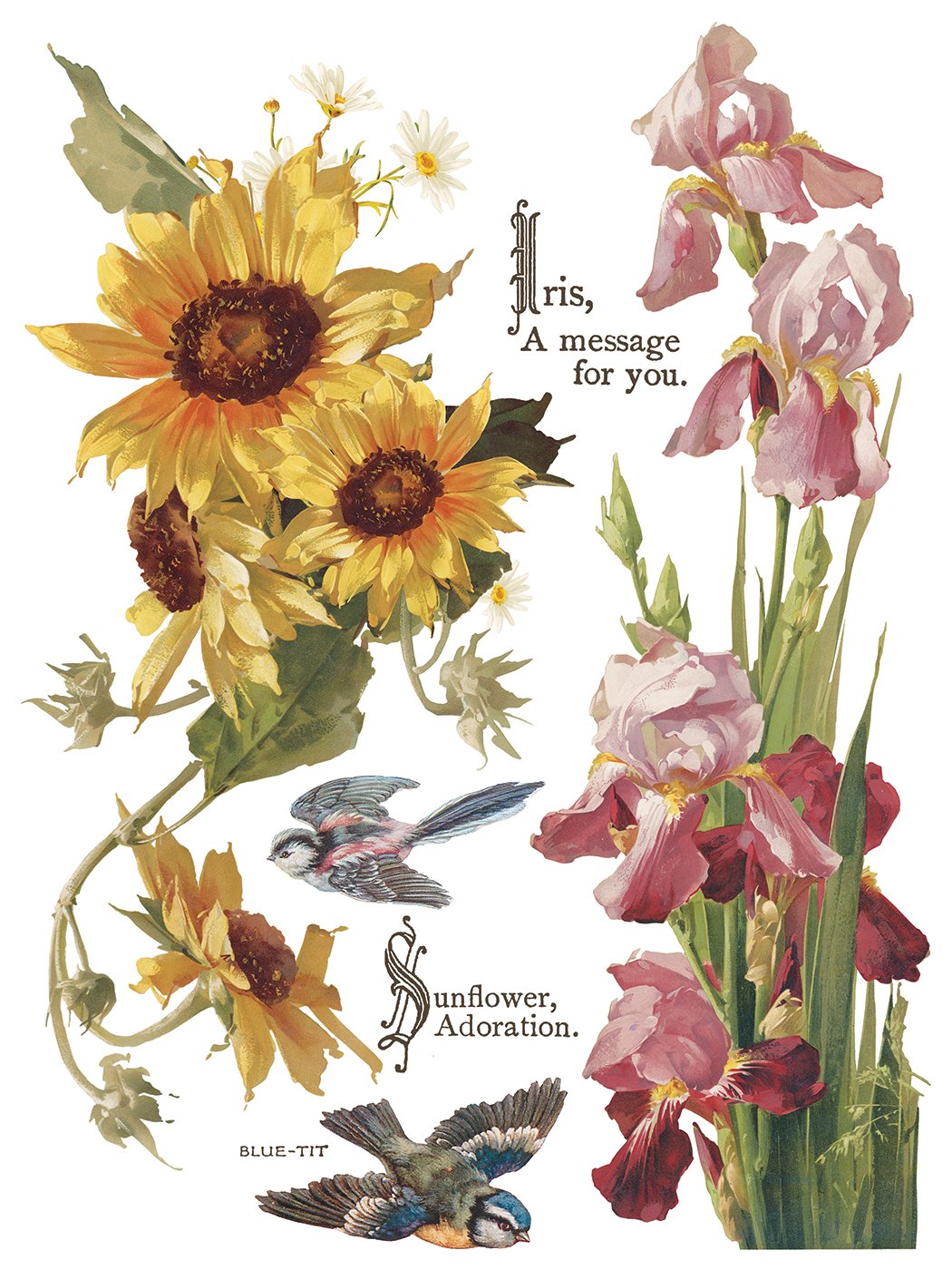 IOD-TRA-FBP Flowers by the Poets artwork page 6 small.jpg