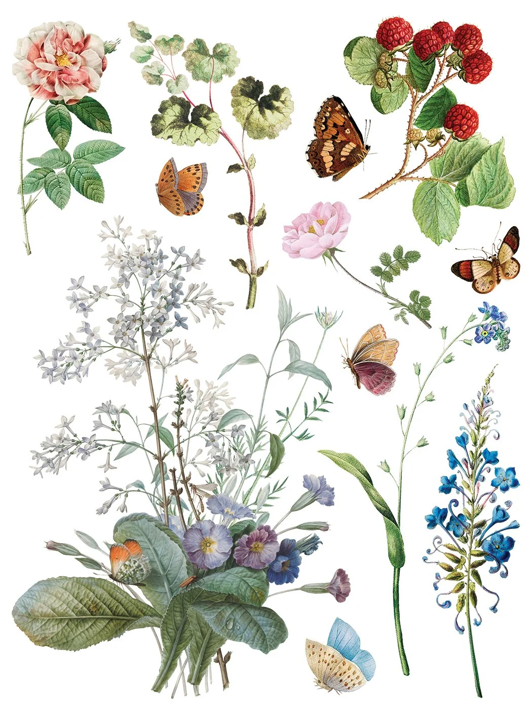 IOD-TRA-MDF Marché des Fleurs artwork page 4 small.jpg