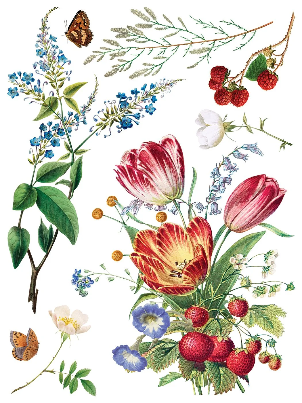 IOD-TRA-MDF Marché des Fleurs artwork page 5 small.jpg
