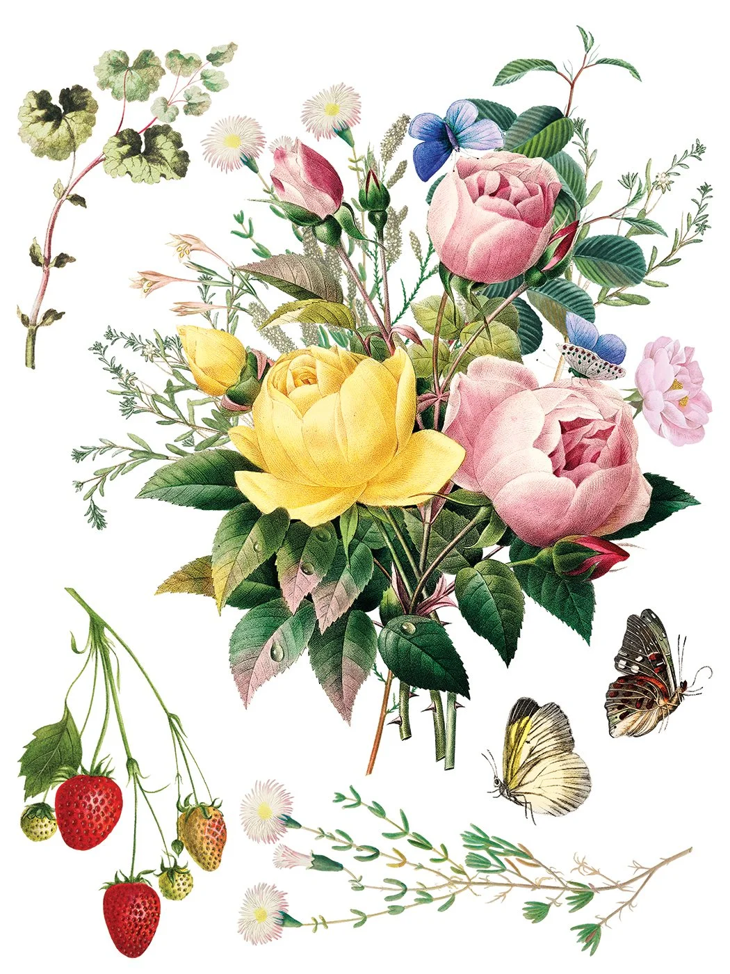 IOD-TRA-MDF Marché des Fleurs artwork page 7 small.jpg
