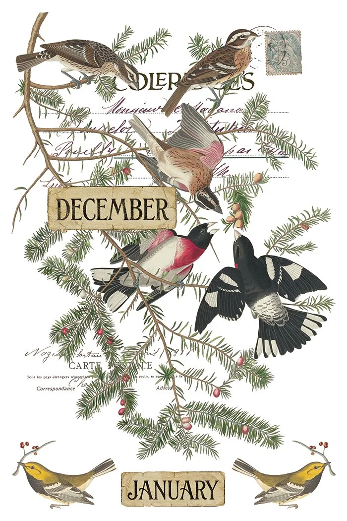 IOD-TRA-WCL Winter’s Calling transfer page 8 SMALL.jpg